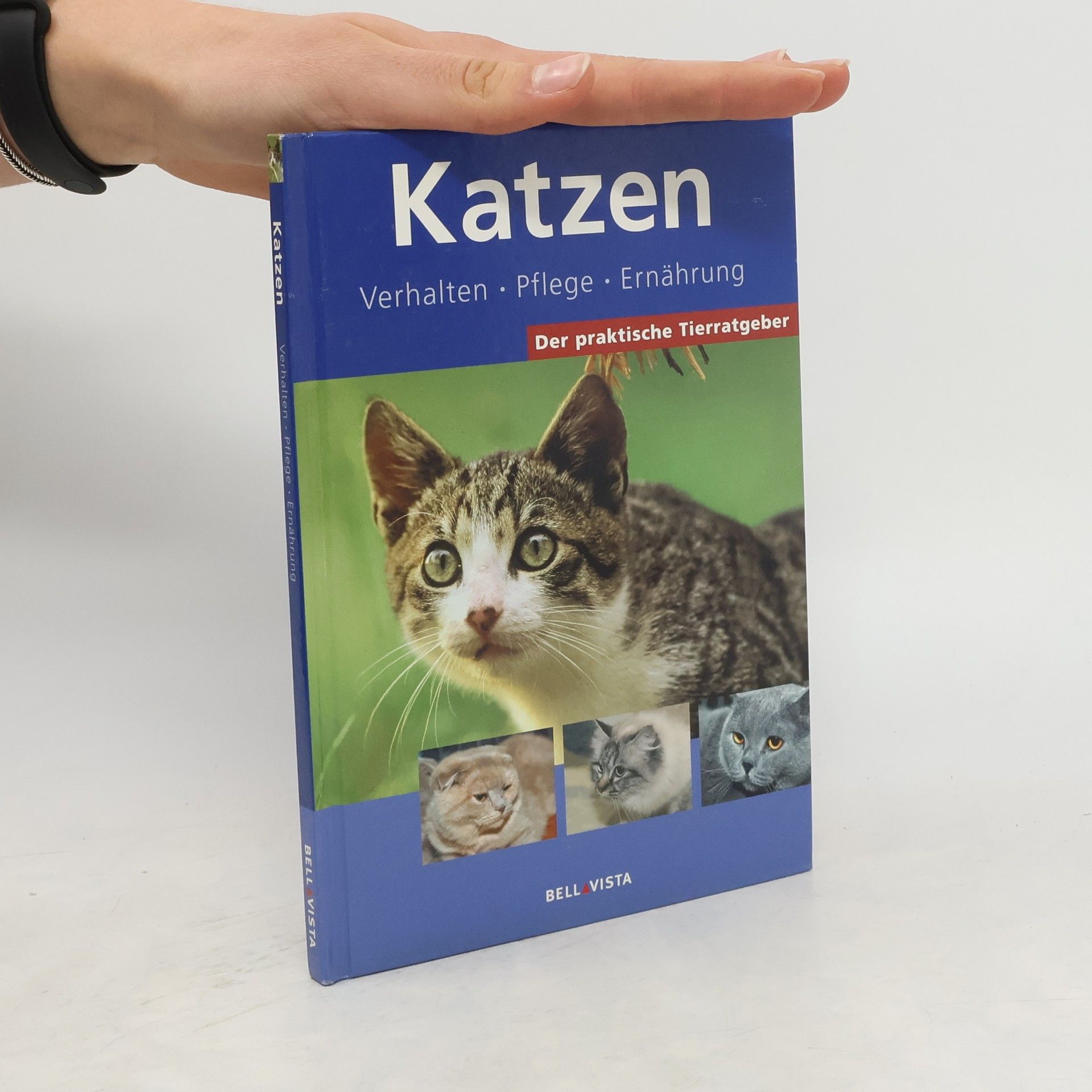 Autorenkollektiv Der praktische Tierratgeber. Katzen
