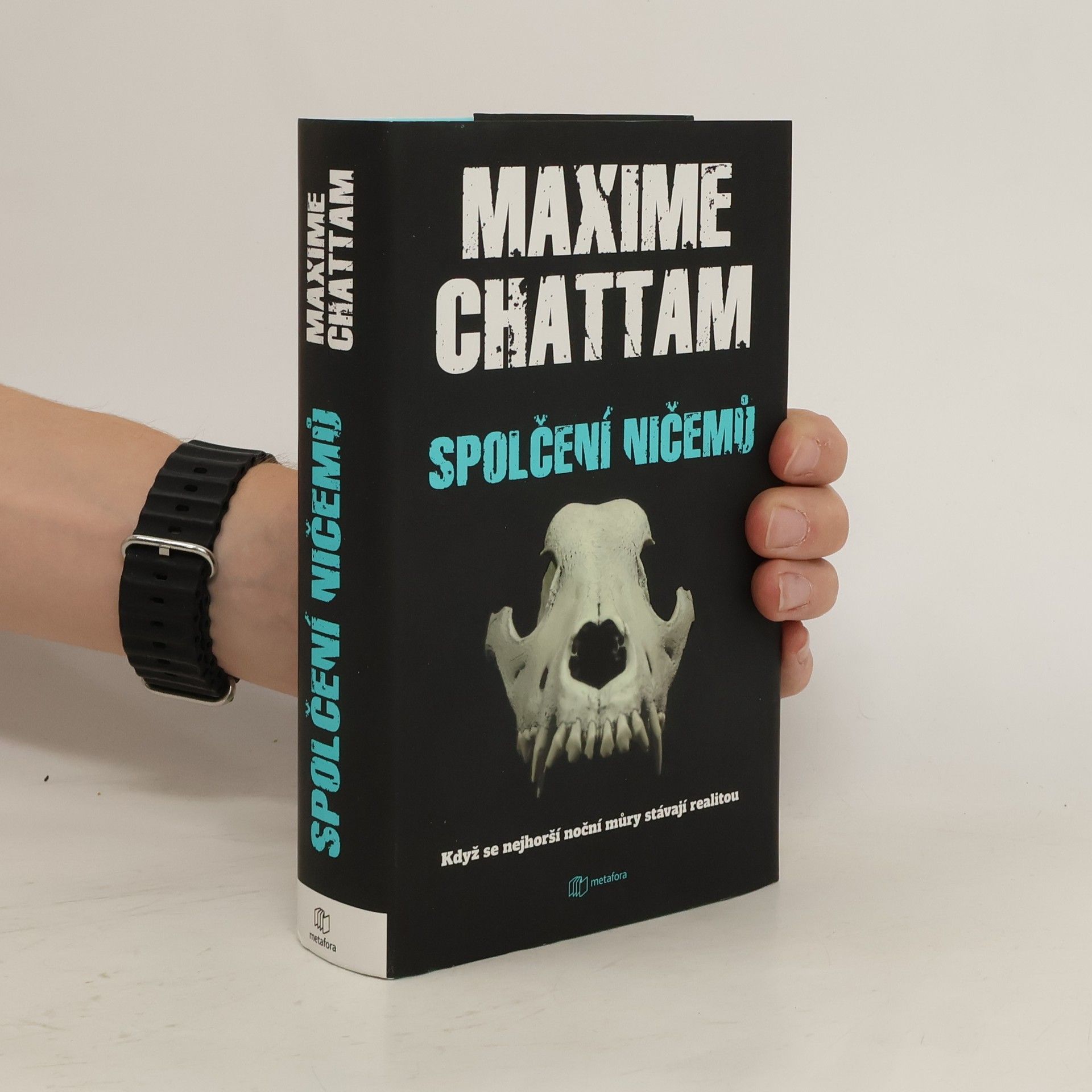 Maxime Chattam Spolčení ničemů