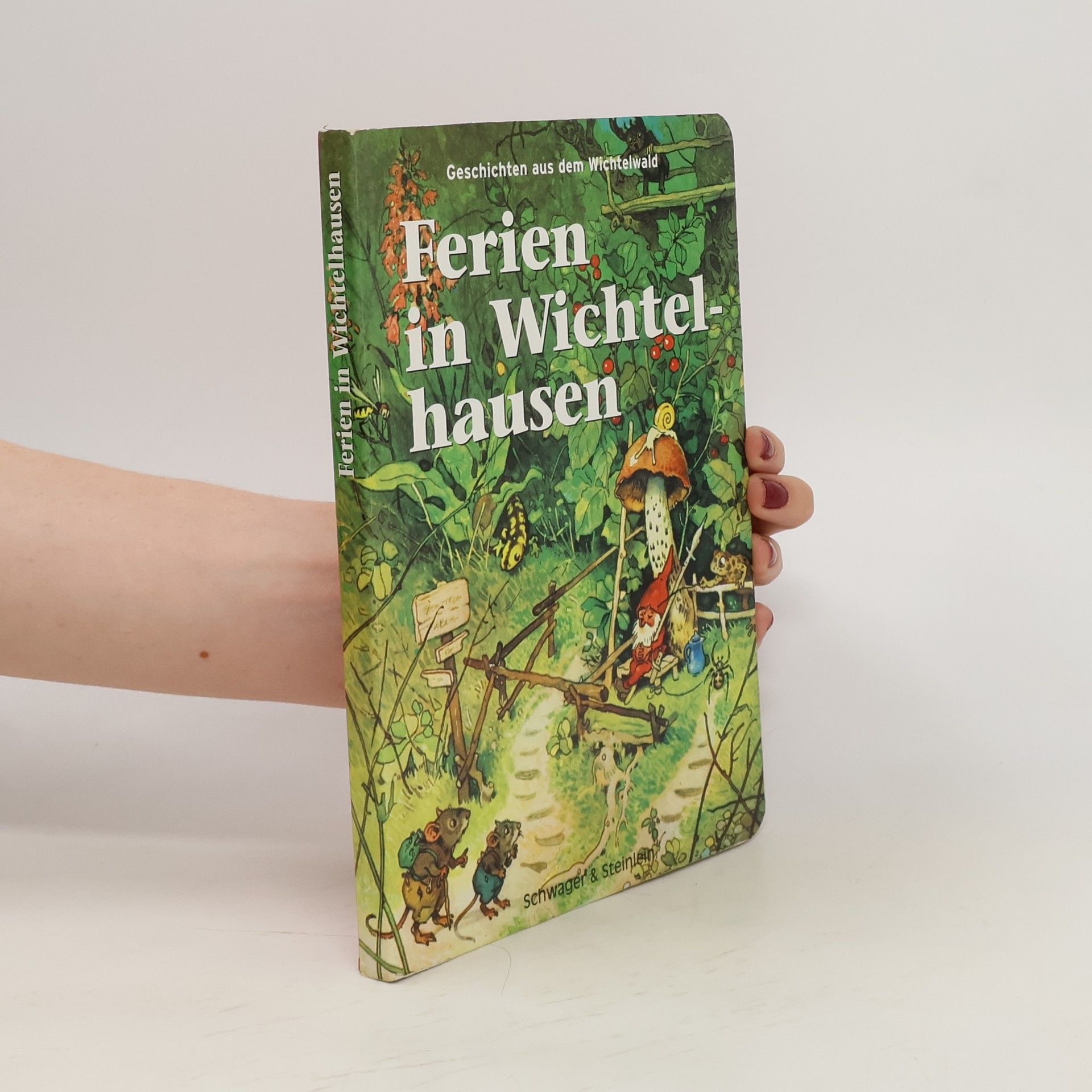 Fritz Baumgarten Geschichten aus dem Wichtelwald
