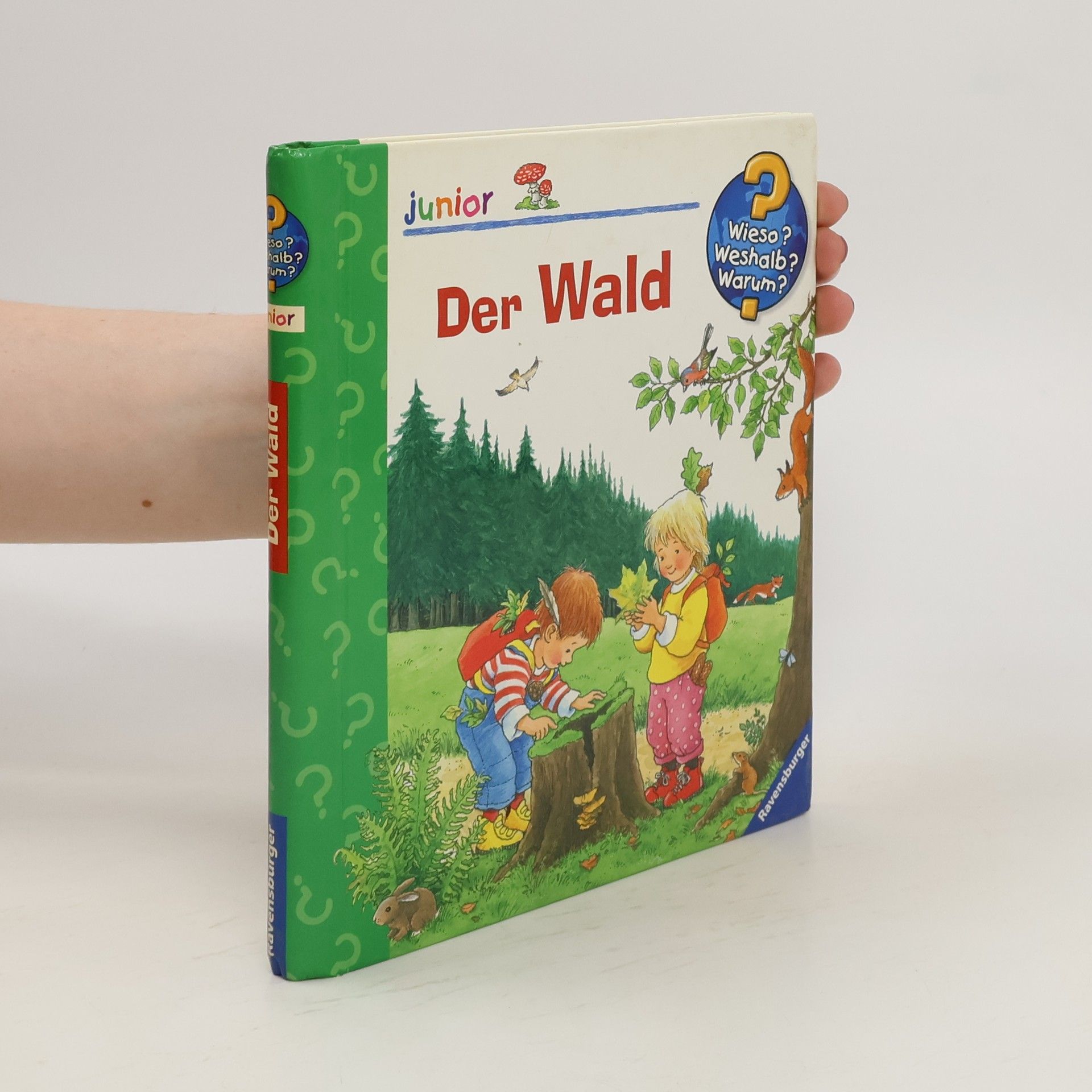 Autorenkollektiv Der Wald