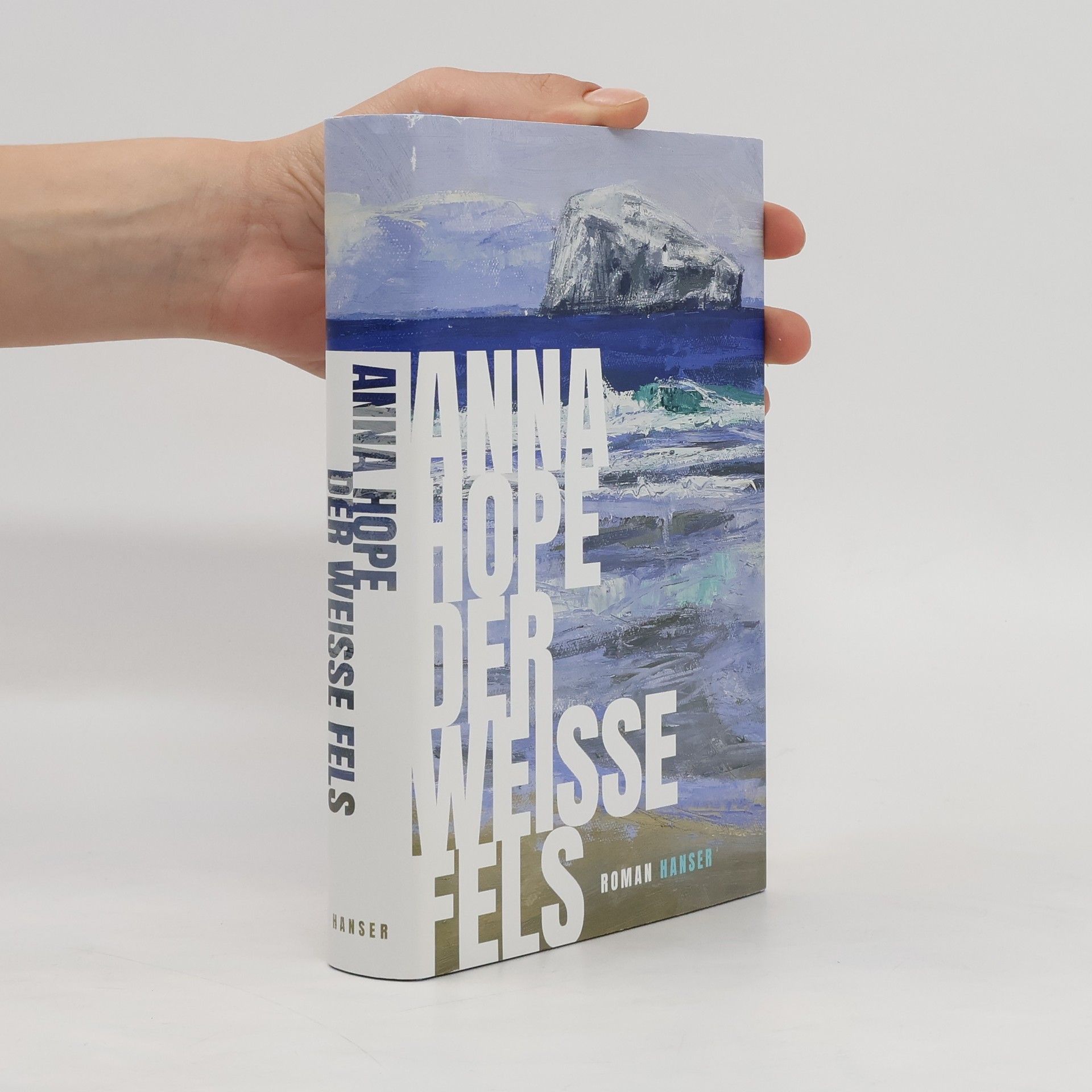 Anna Hope Der weiße Fels