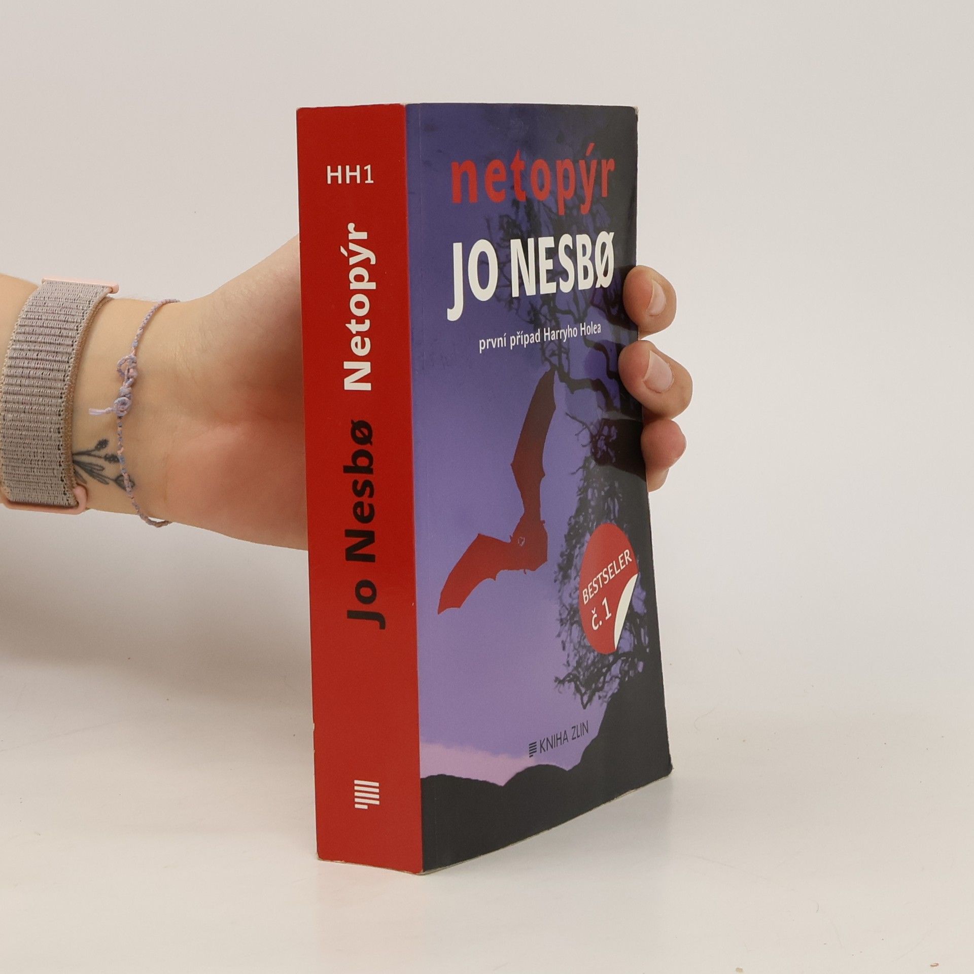 Jo Nesbø Netopýr. První případ Harryho Holea