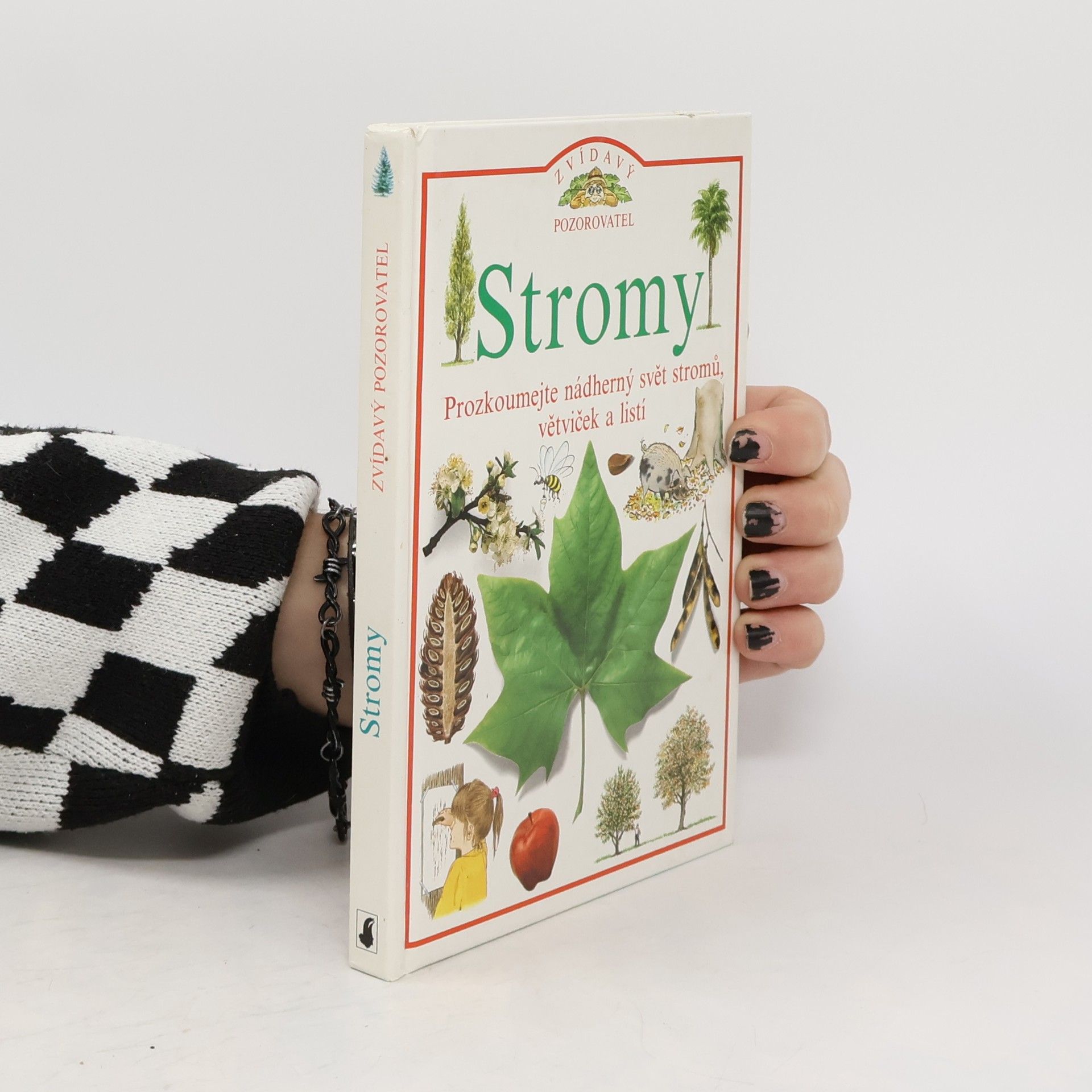 Autorenkollektiv Stromy
