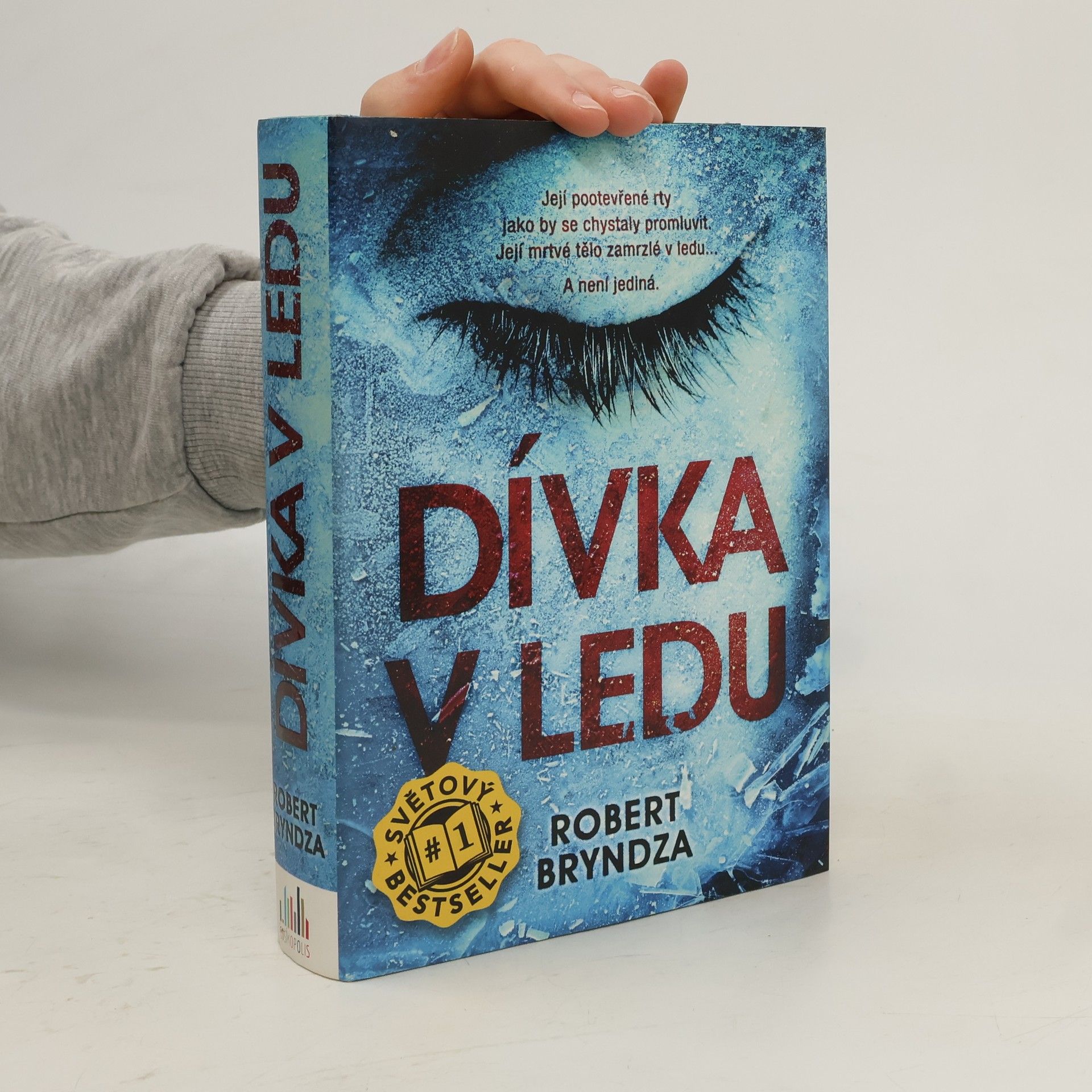 Robert Bryndza Dívka v ledu