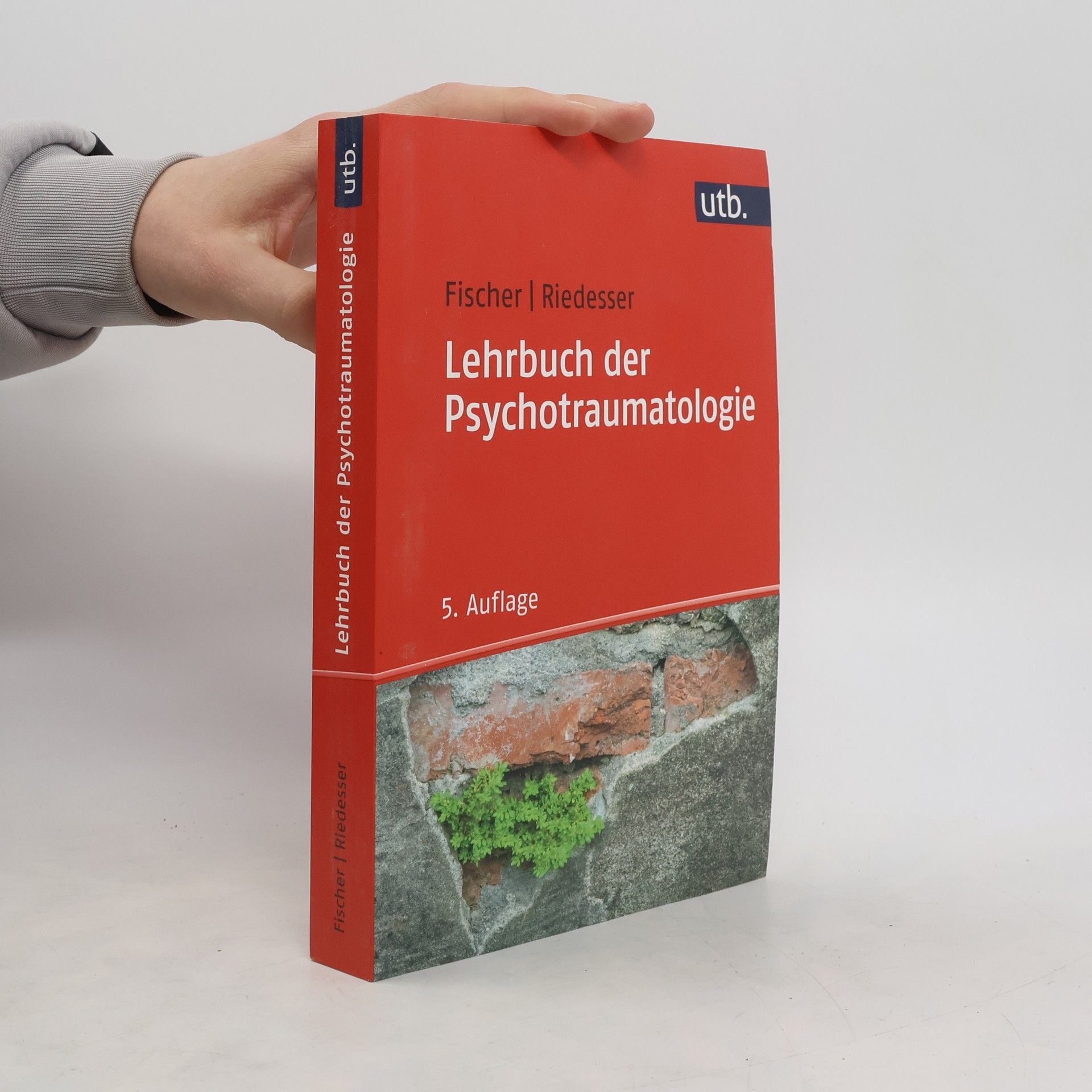Gottfried Fischer Lehrbuch der Psychotraumatologie