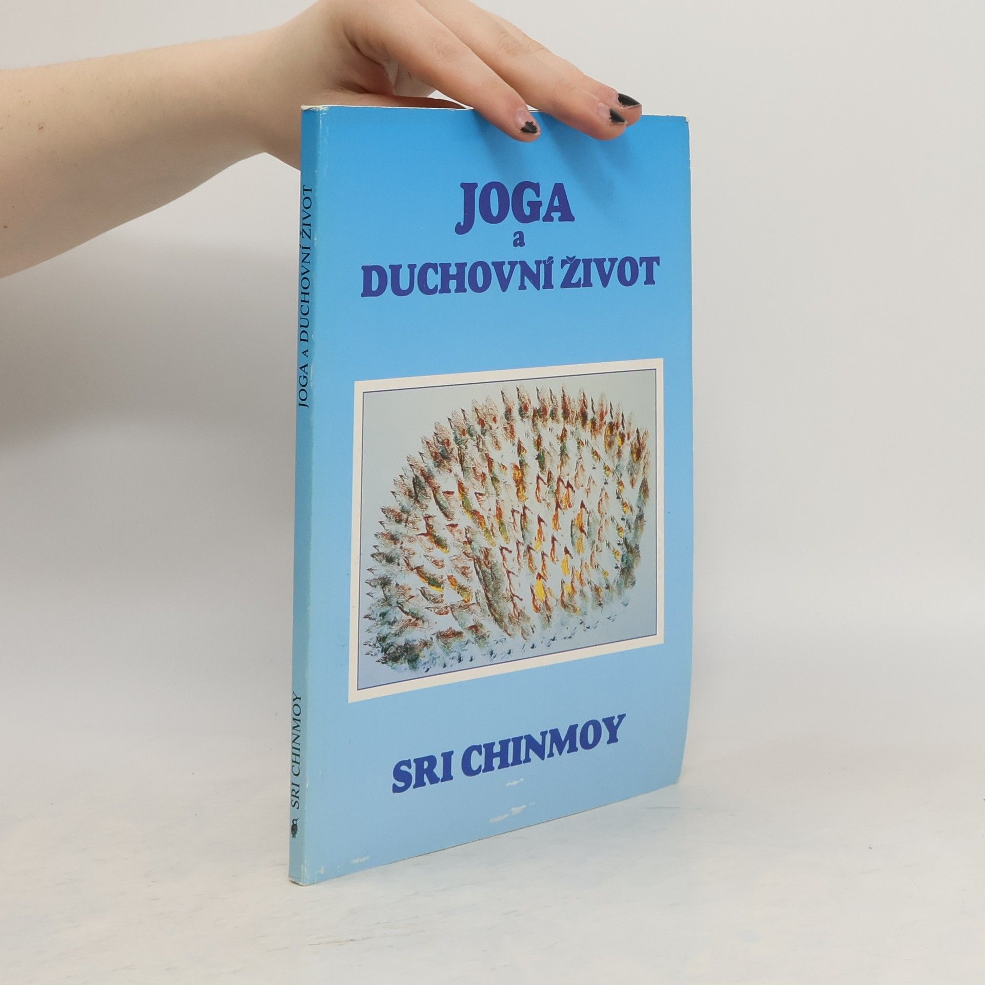 Sri Chinmoy Jóga a duchovní život: Cesta indické duše