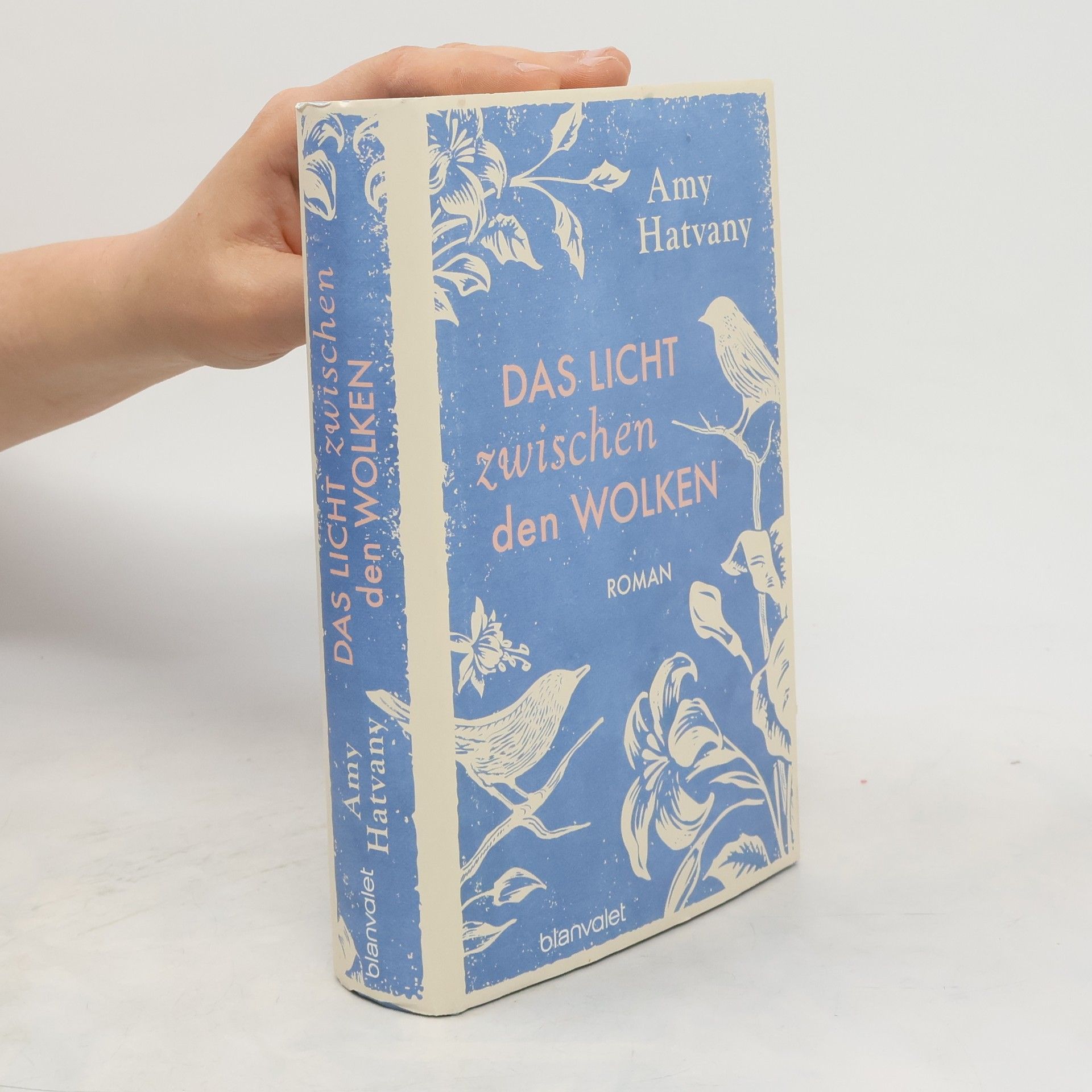 Amy Hatvany Das Licht zwischen den Wolken