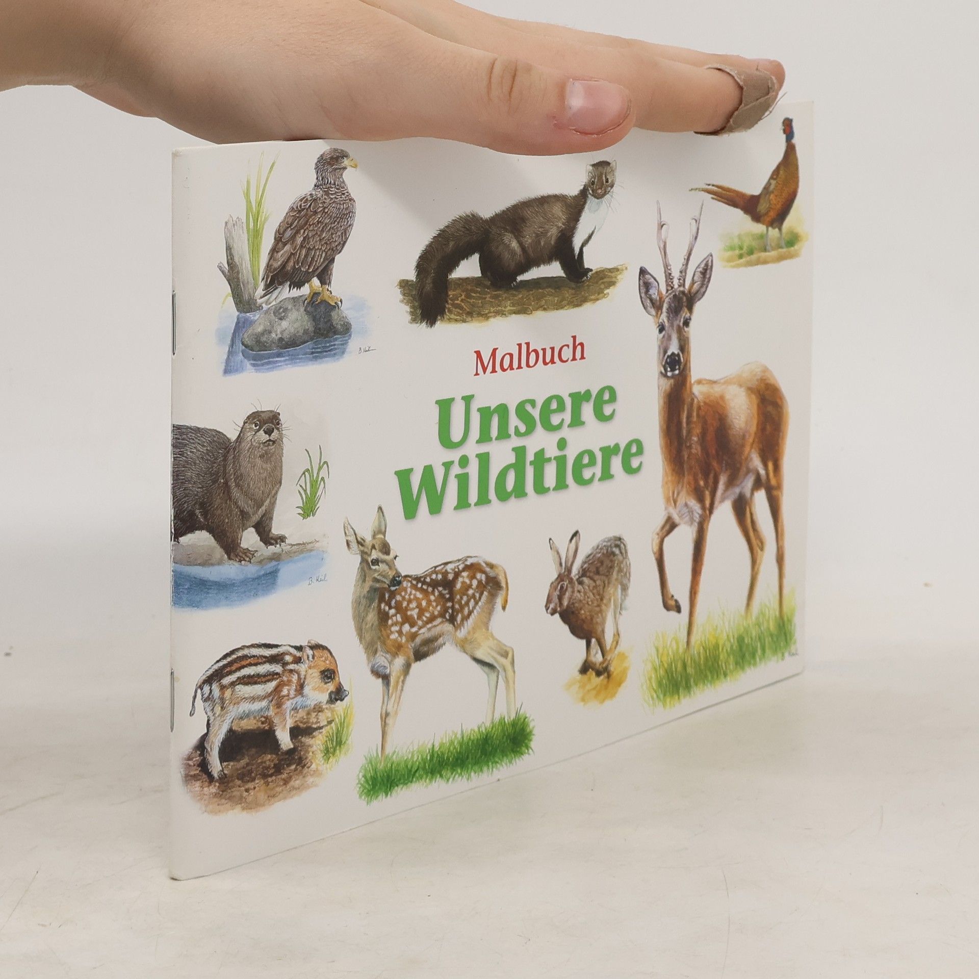 kolektiv Malbuch Unsere Wildtiere