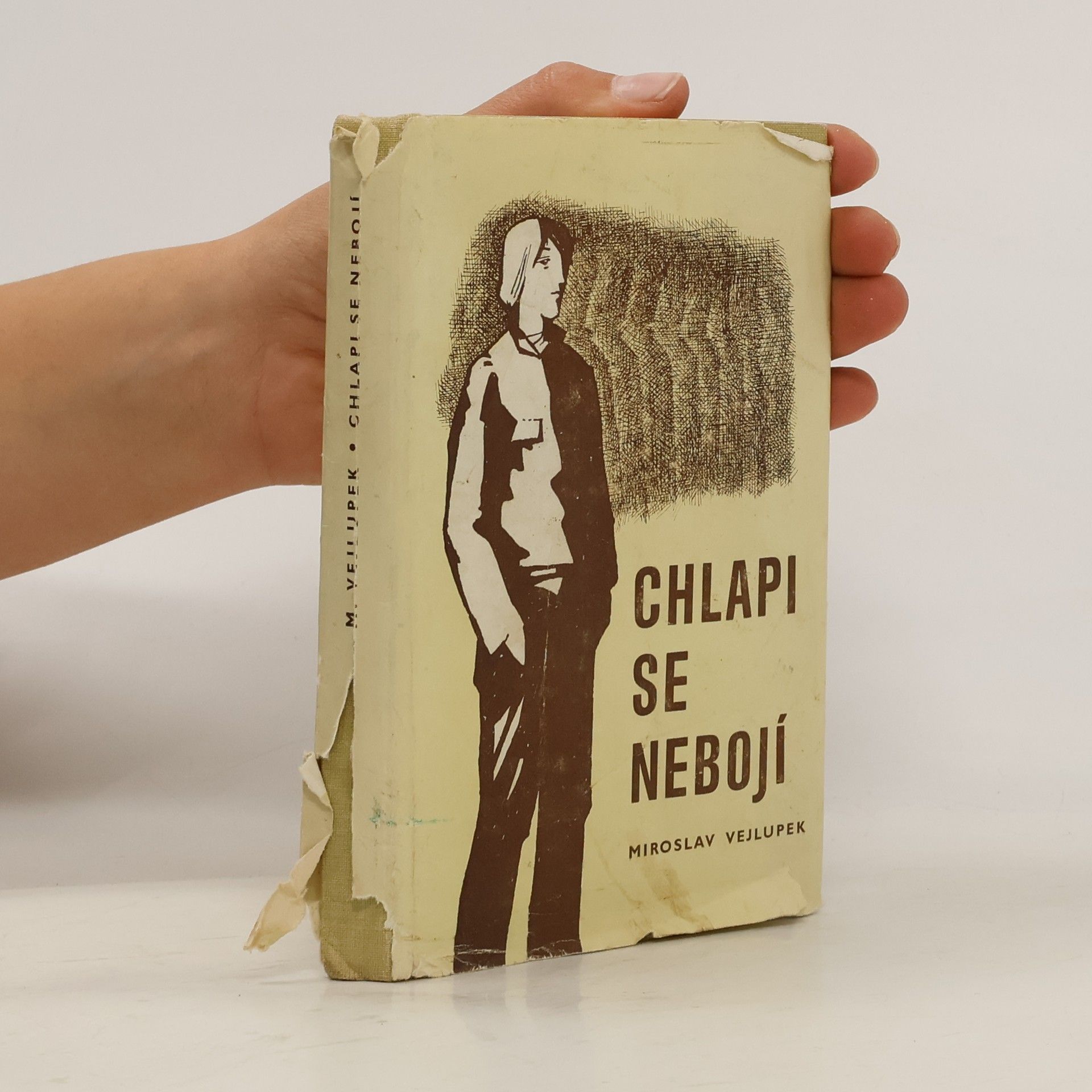 Miroslav Vejlupek Chlapi se nebojí