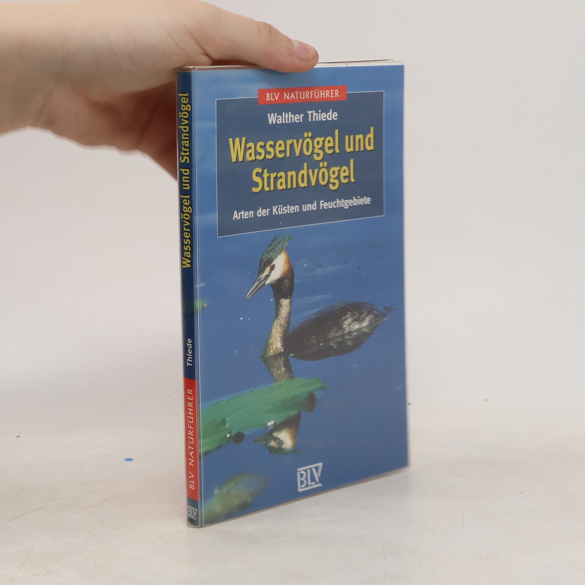 Walther Thiede Wasservögel und Strandvögel