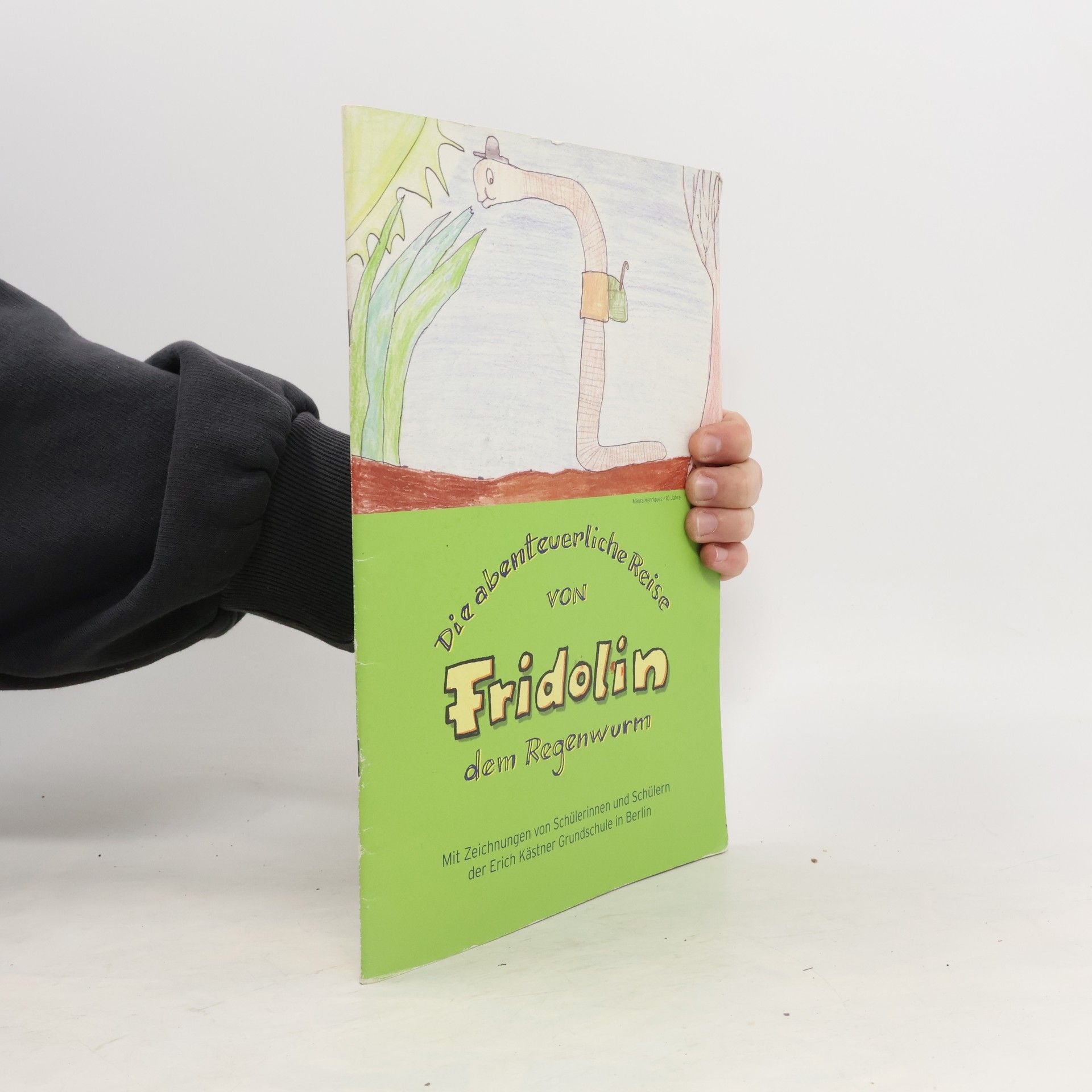 kolektiv Die abenteuerliche Reise von Fridolin dem Regenwurm