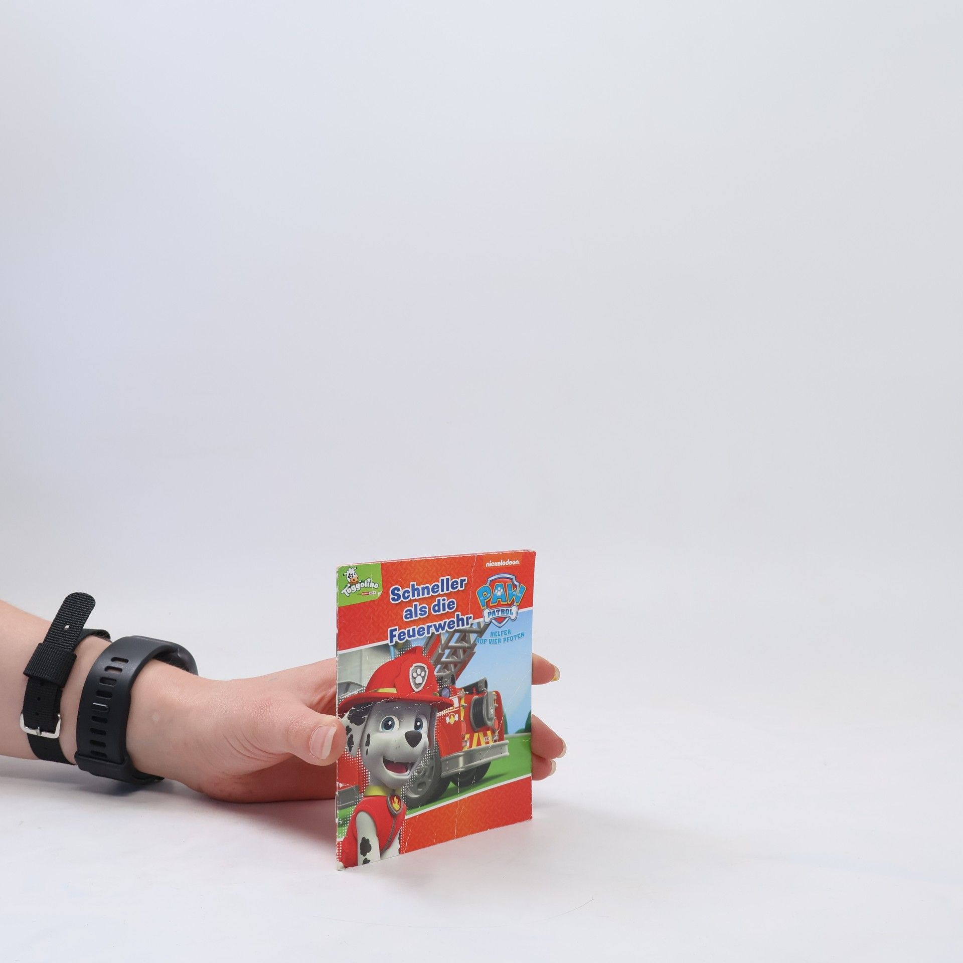 Autorenkollektiv Paw Patrol. Schneller als die Feuerwehr