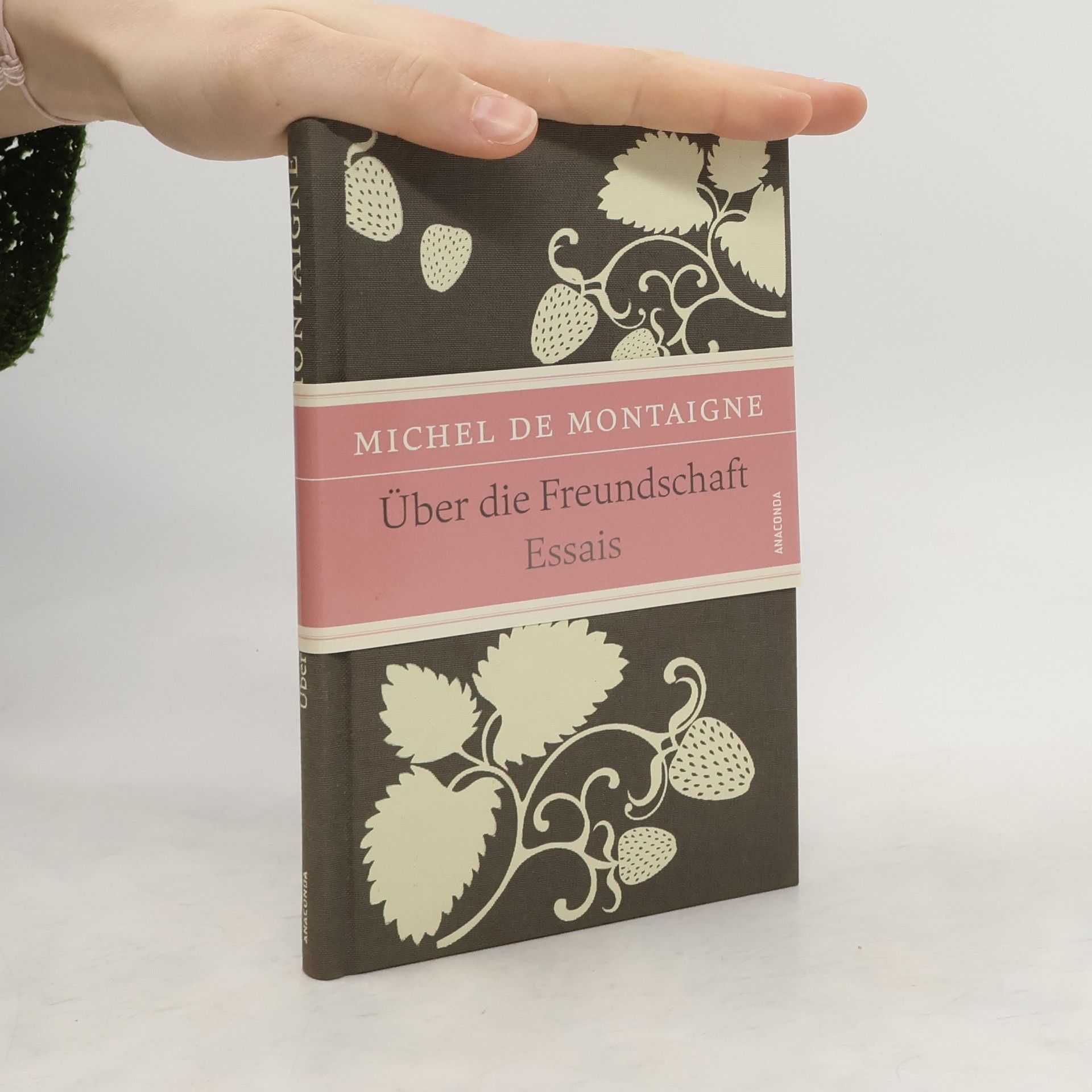 Michel de Montaigne Über die Freundschaft