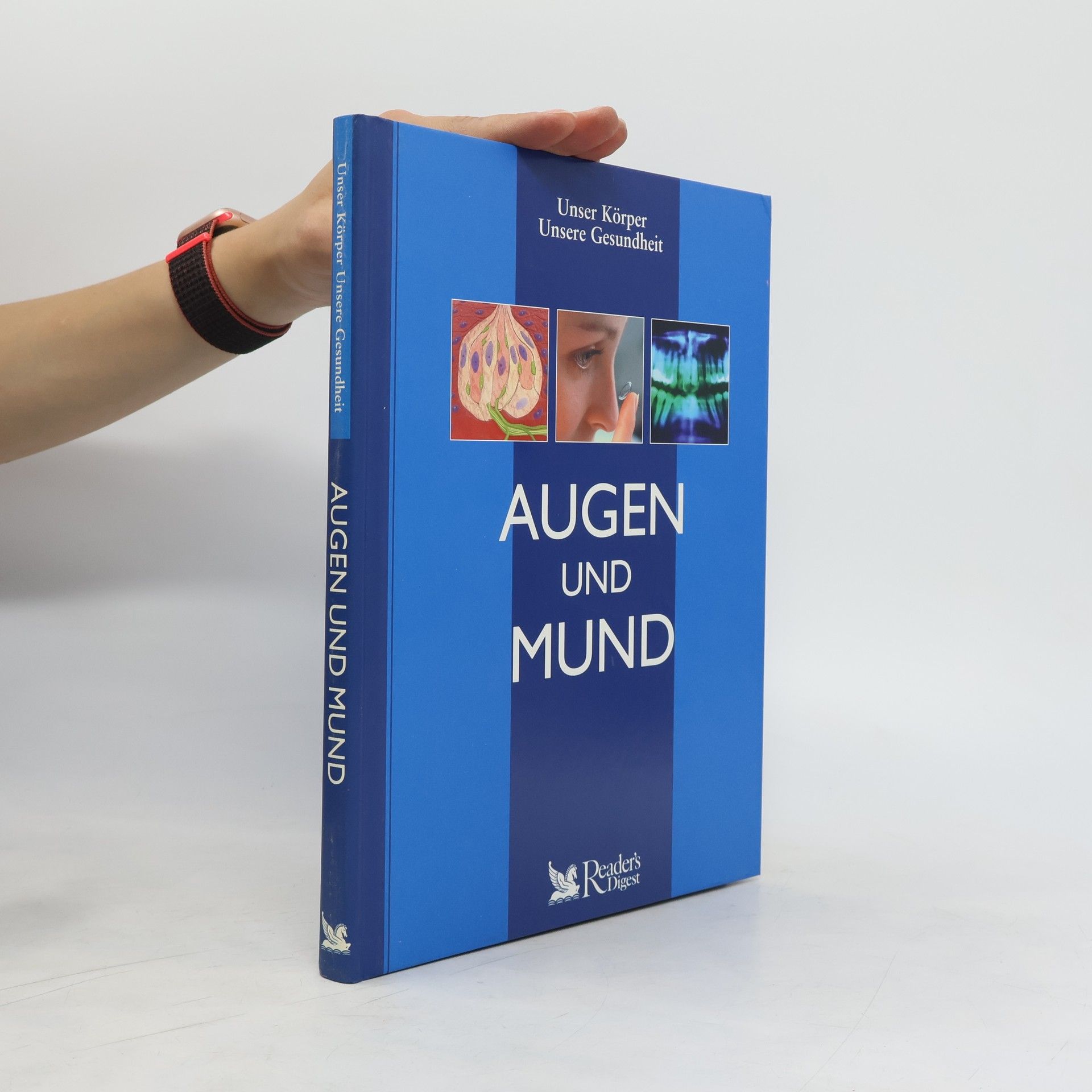 kolektiv Augen und Mund