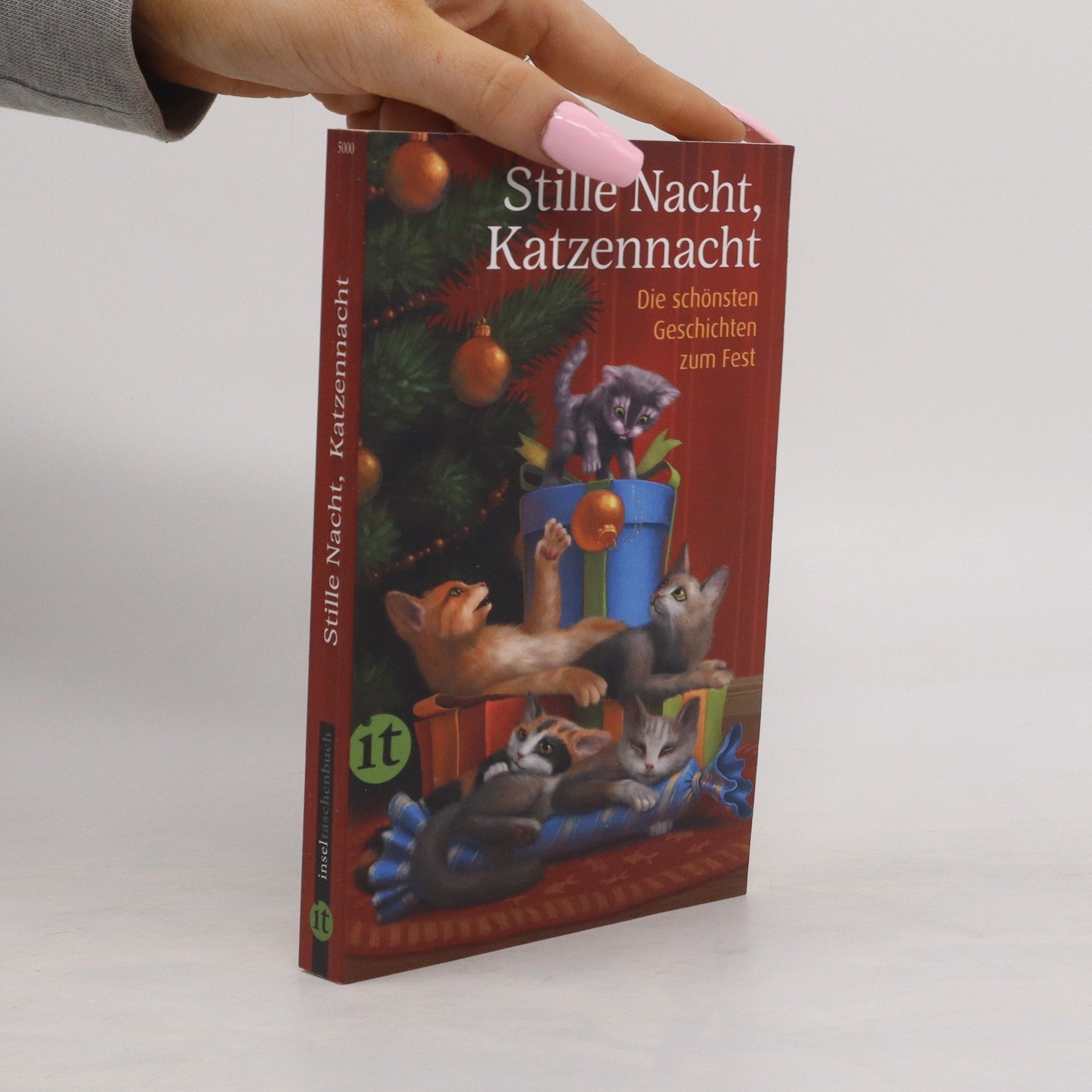 Gesine Dammel Stille Nacht, Katzennacht