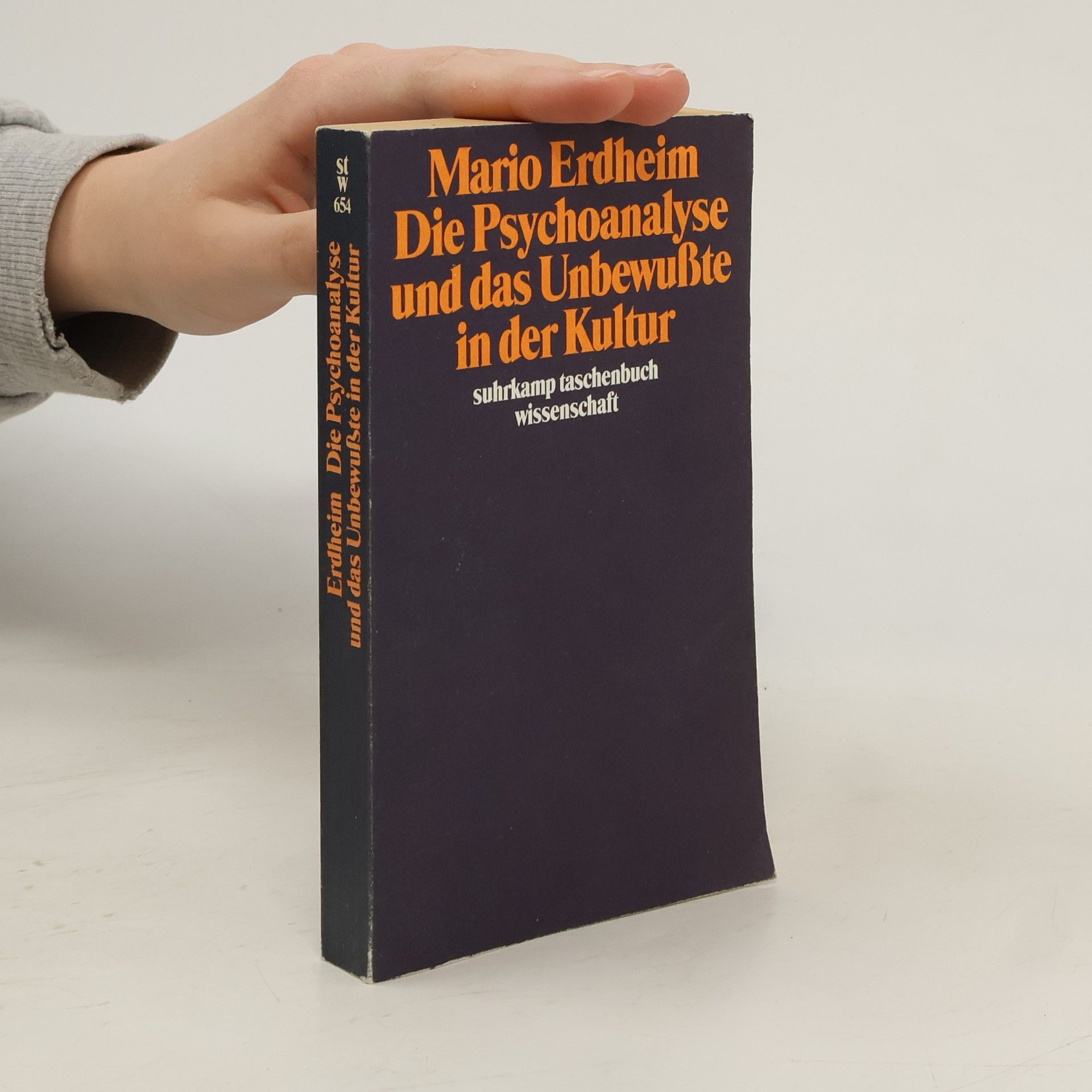 Mario Erdheim Psychoanalyse und Unbewusstheit in der Kultur