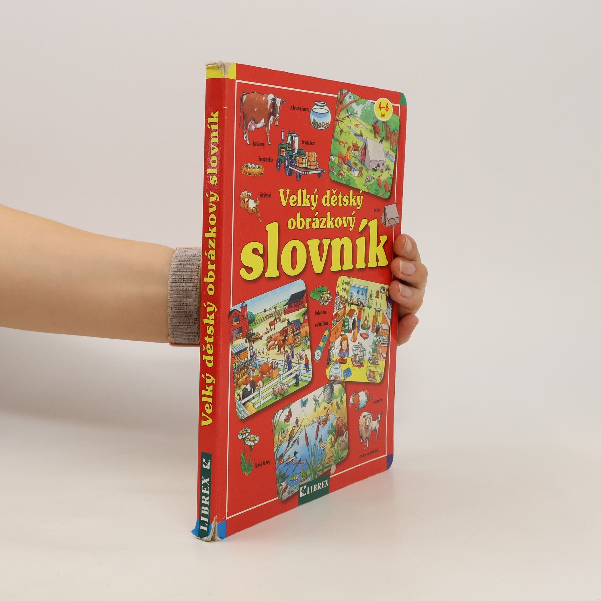 Kolektív autorov Velký dětský obrázkový slovník
