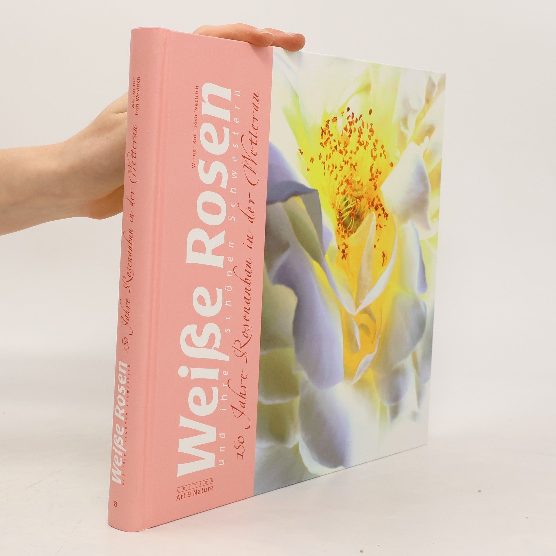 Autorenkollektiv Weiße Rosen