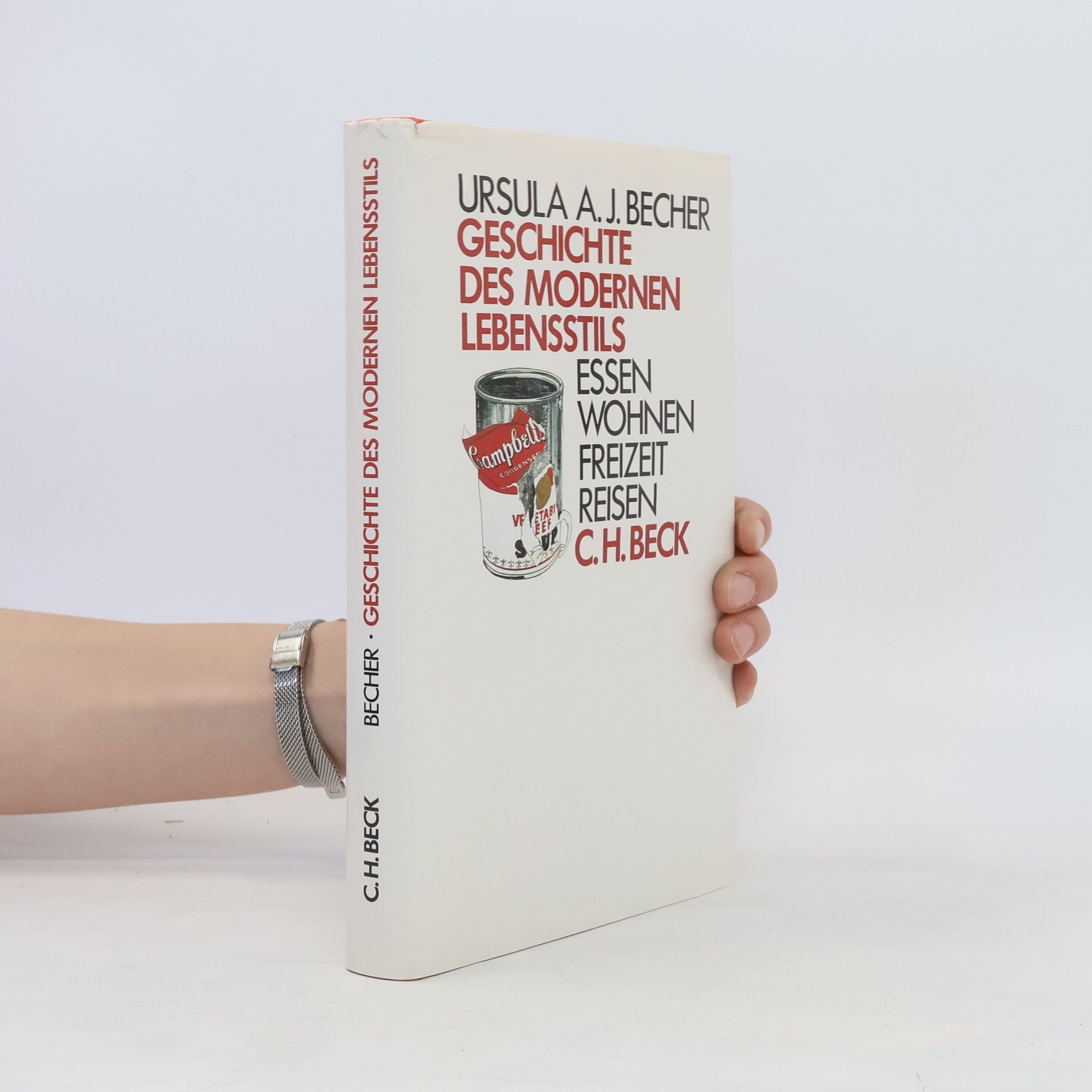 Ursula A. J. Becher Geschichte des modernen Lebensstils