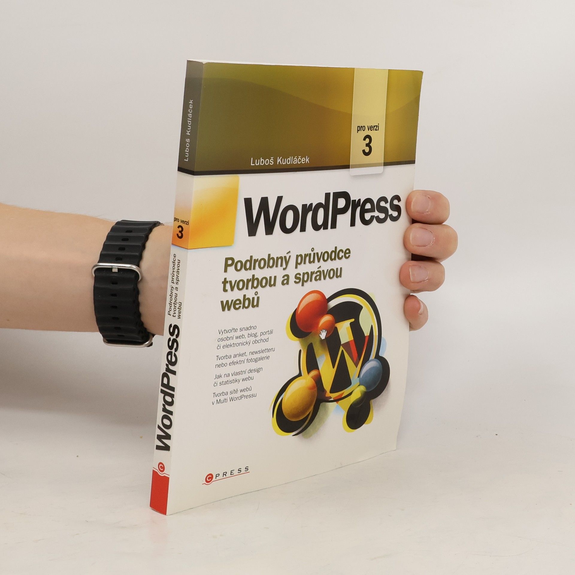 Lubomír Kudláček WordPress: Podrobný průvodce tvorbou a správou webů