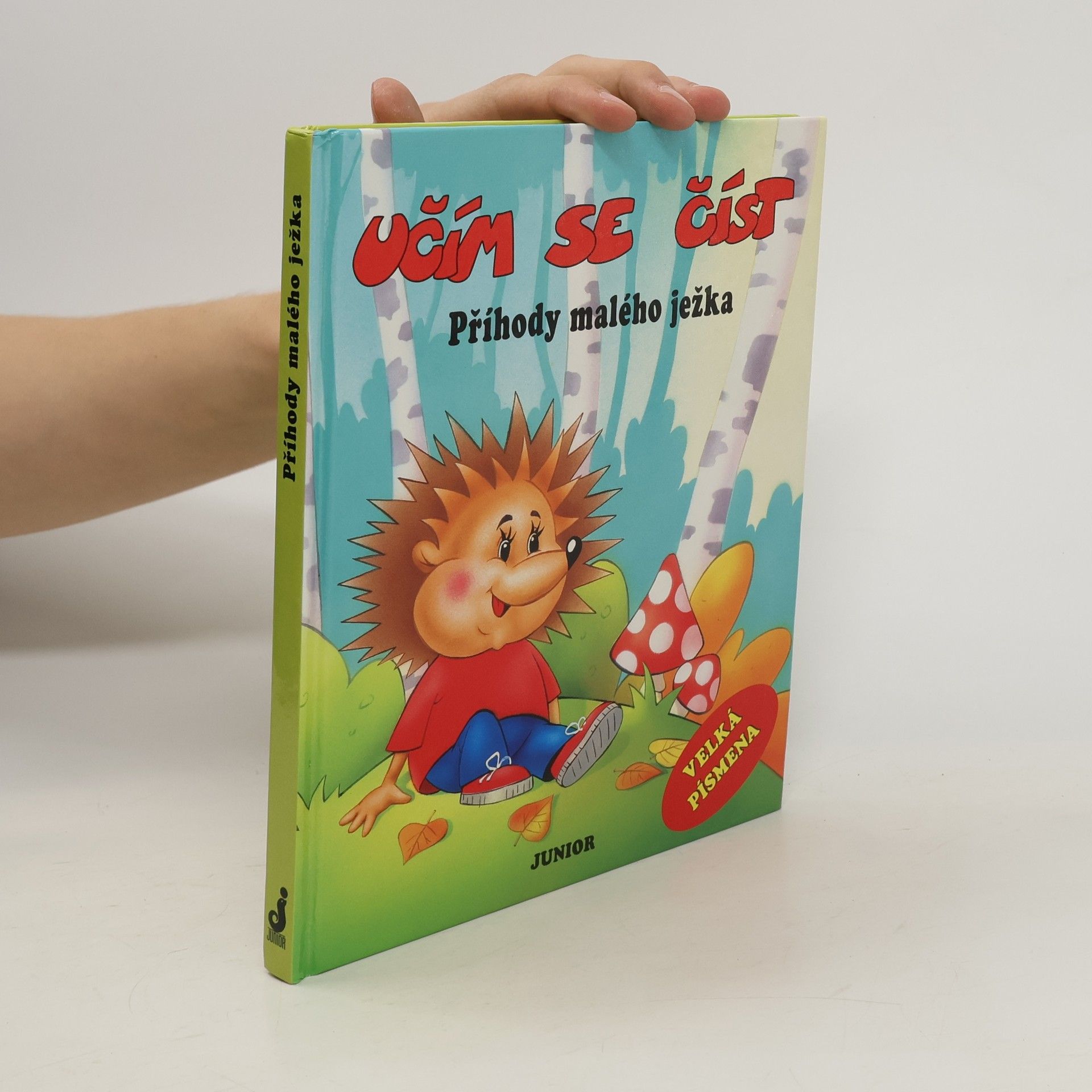 Patrycja Zarawska Příhody malého ježka