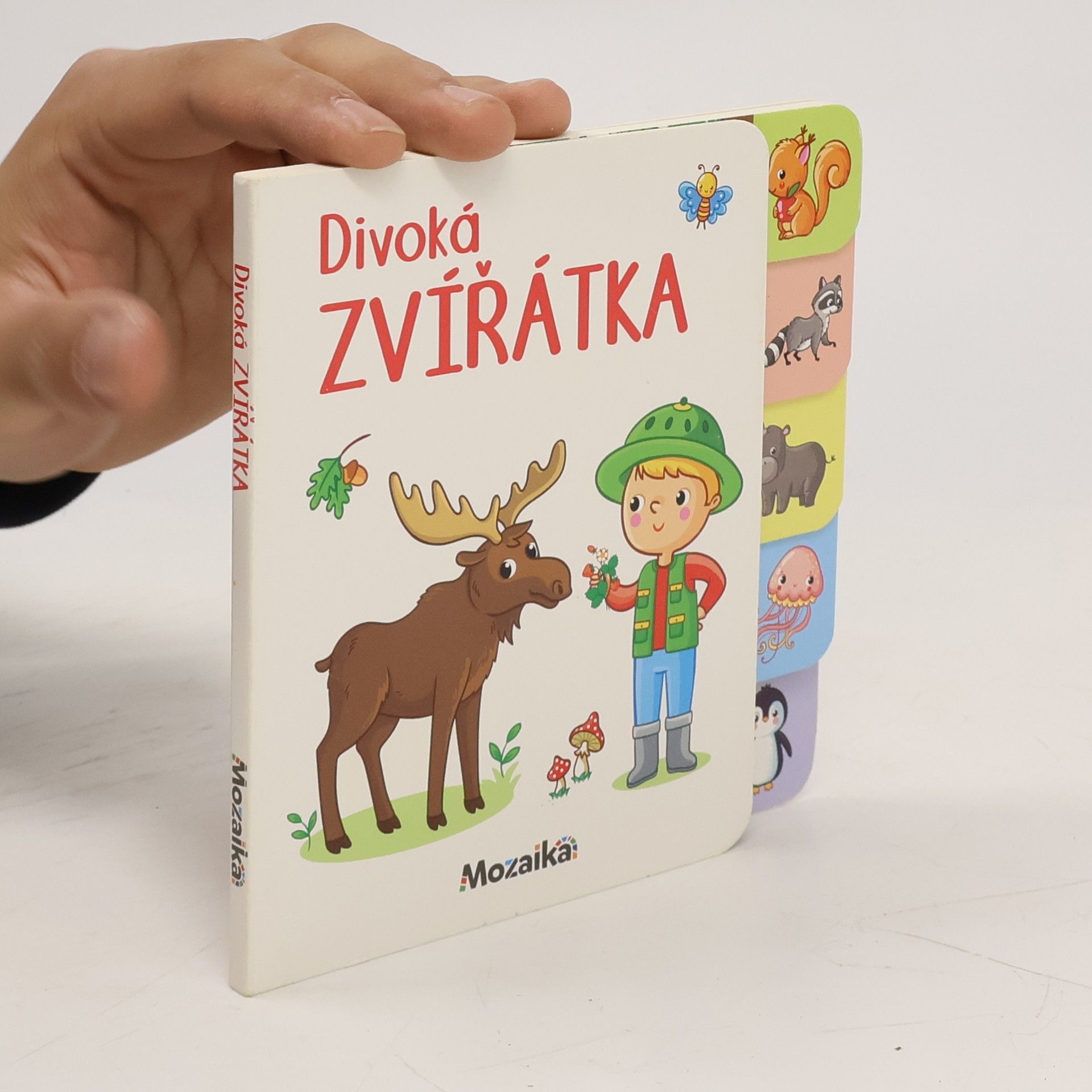 kolektiv Divoká zvířátka