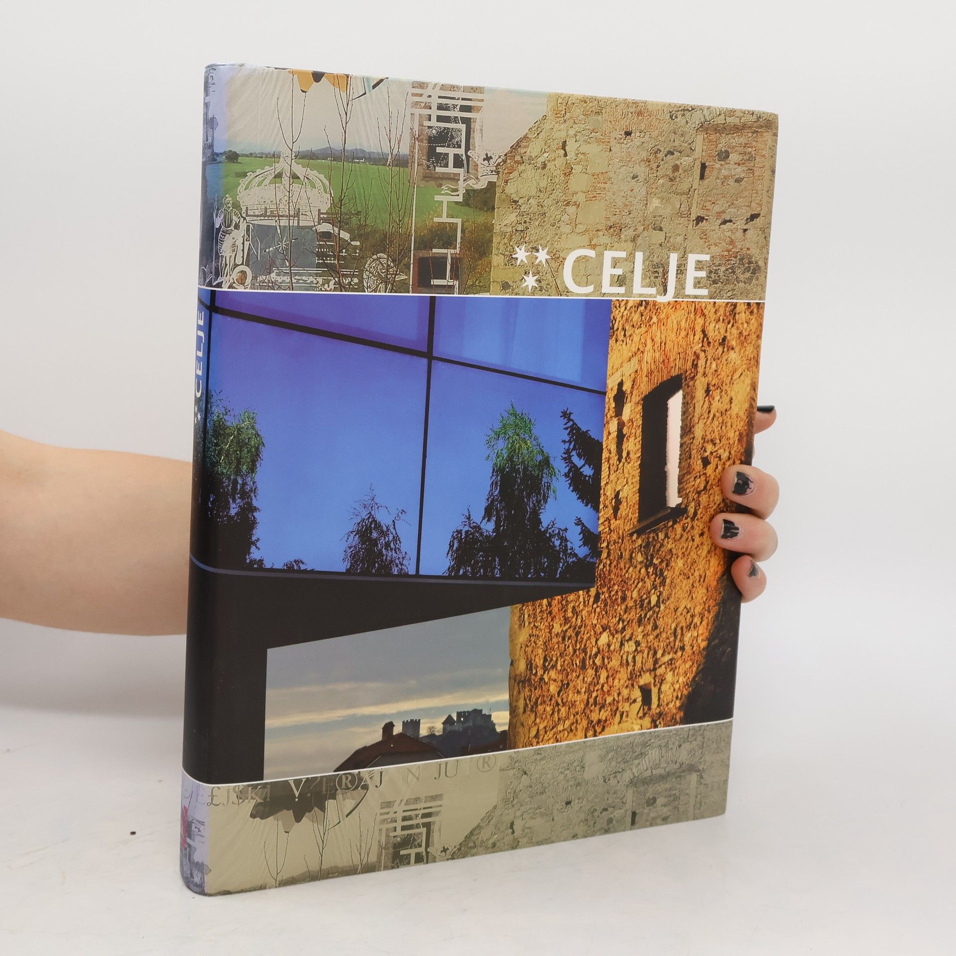 Janko Germadnik Celje