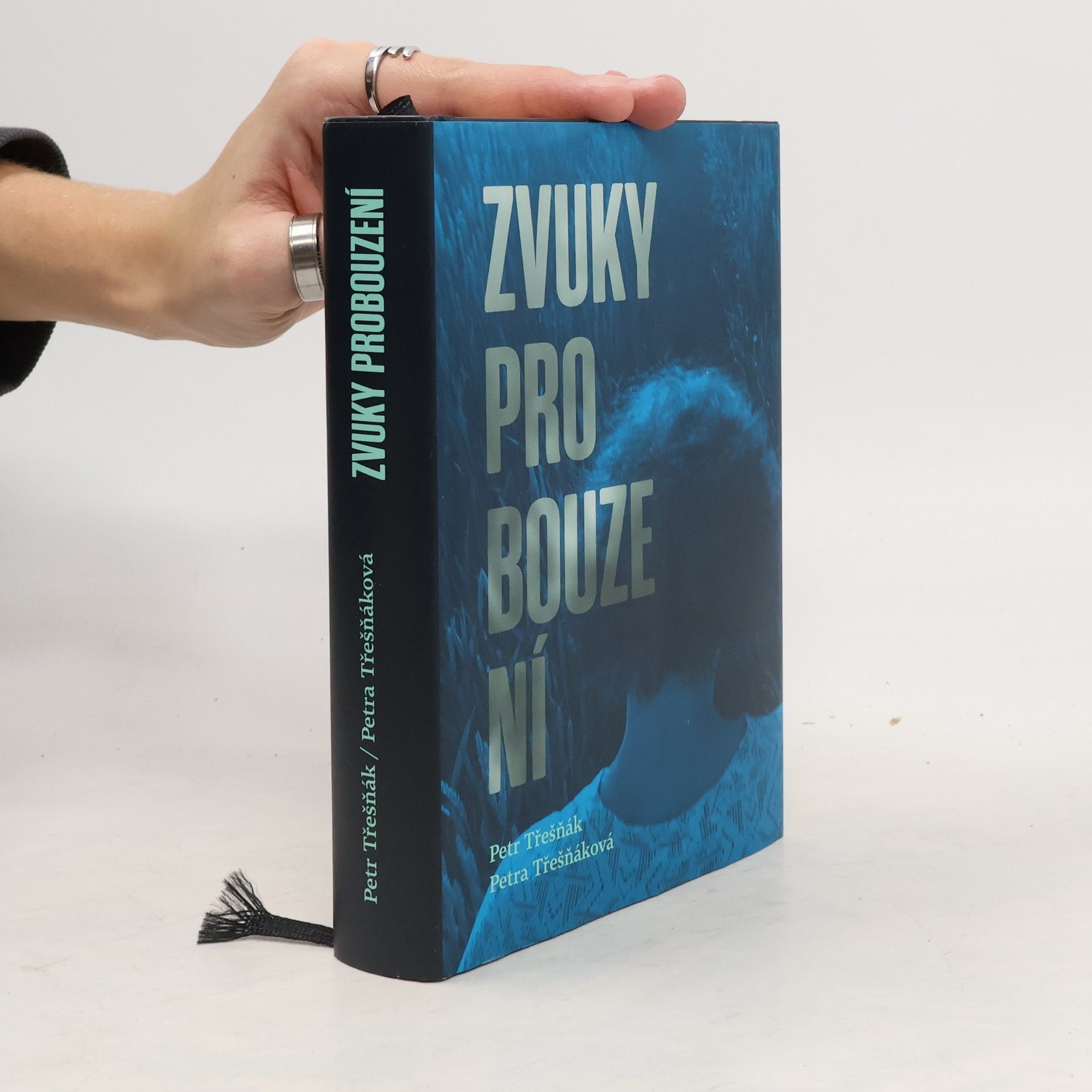 Petr Třešňák Zvuky probouzení