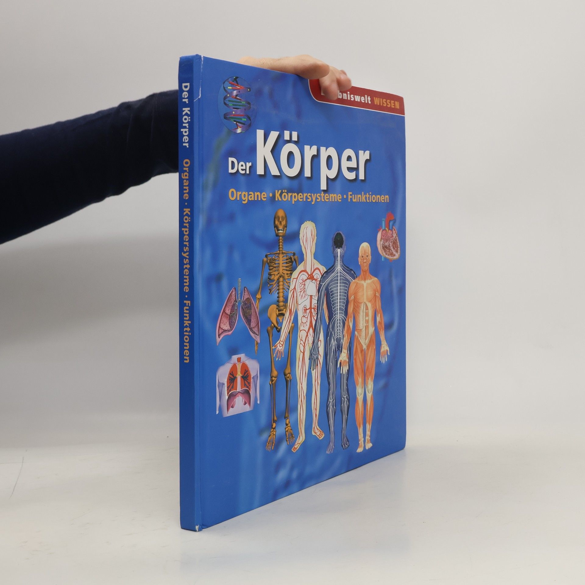 Collective Der Körper