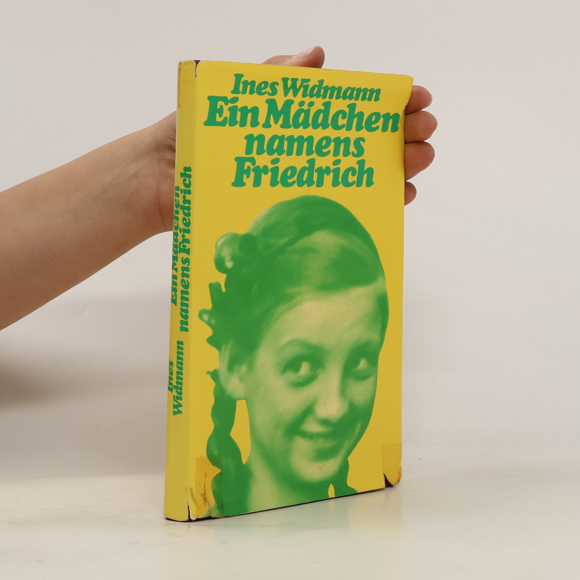 Ines Widmann Ein Mädchen namens Friedrich