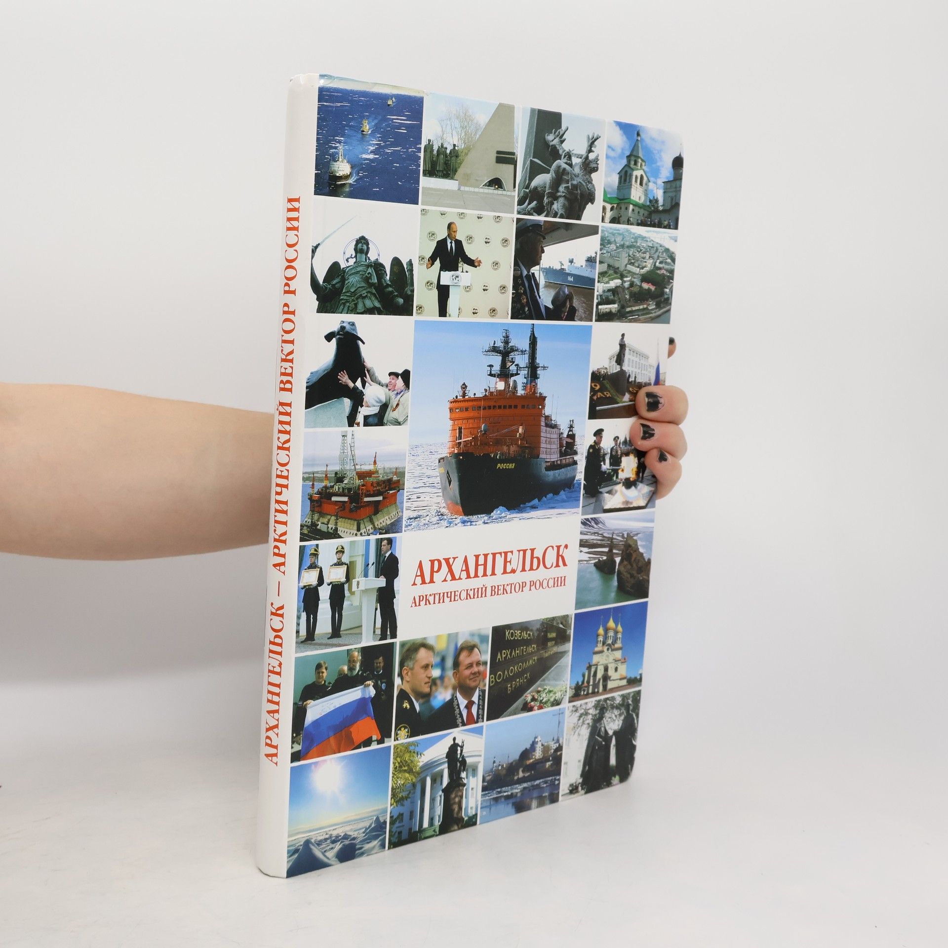 Kolektiv autorů Архангельск - арктический вектор России