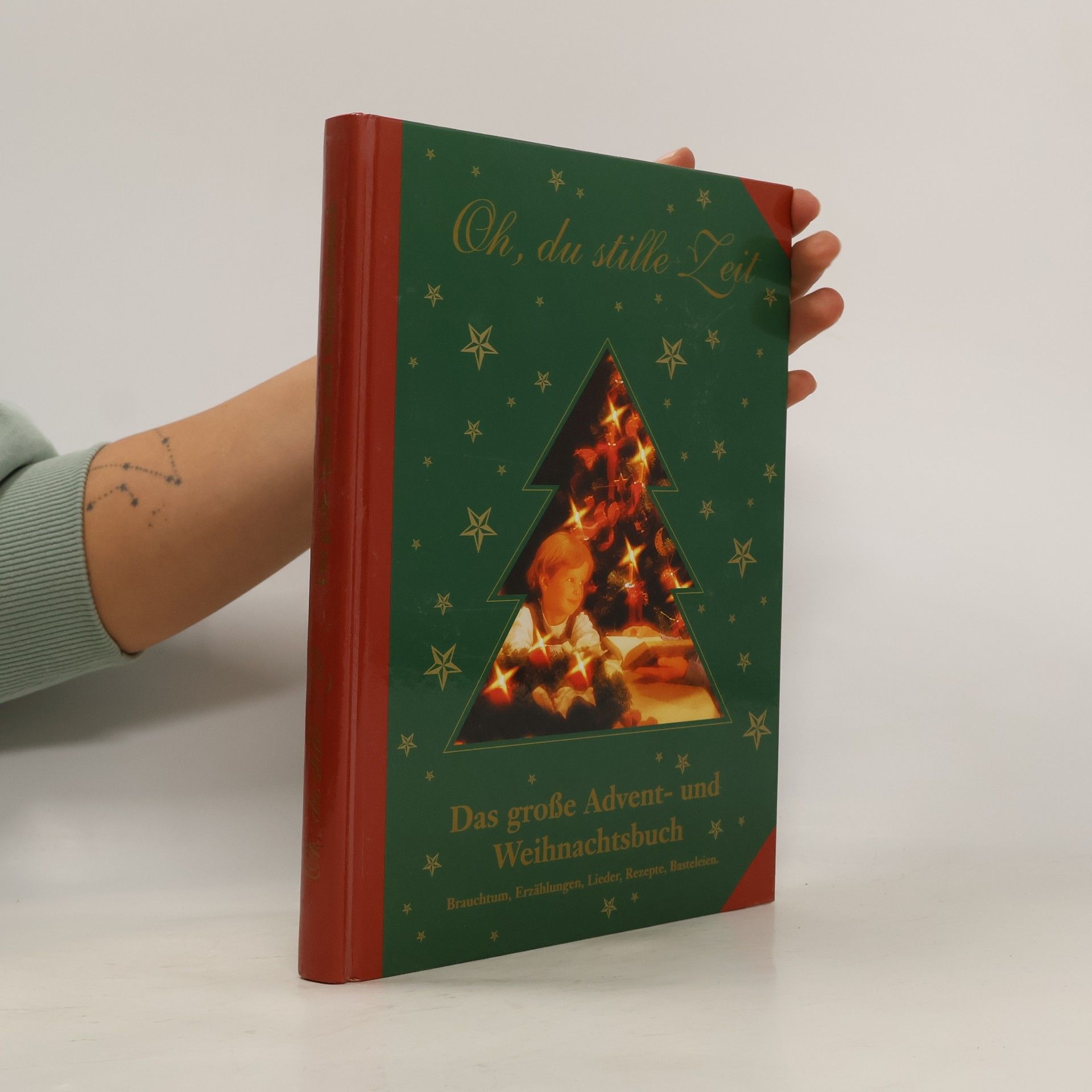 Autorenkollektiv Das große Advent- und Weihnachtsbuch