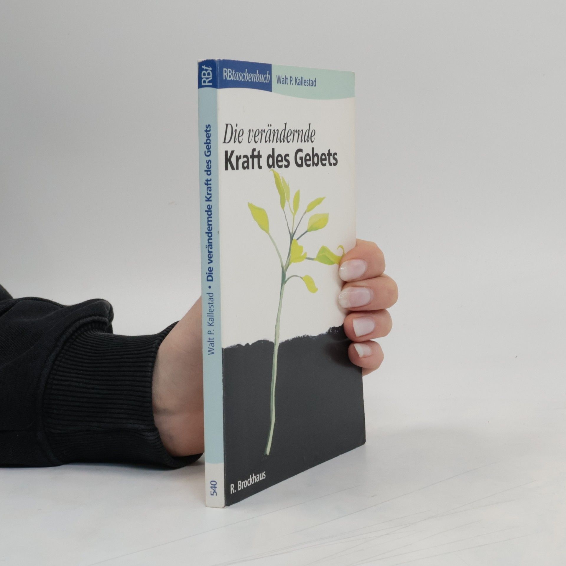 Walt P. Kallestad Die verändernde Kraft des Gebets