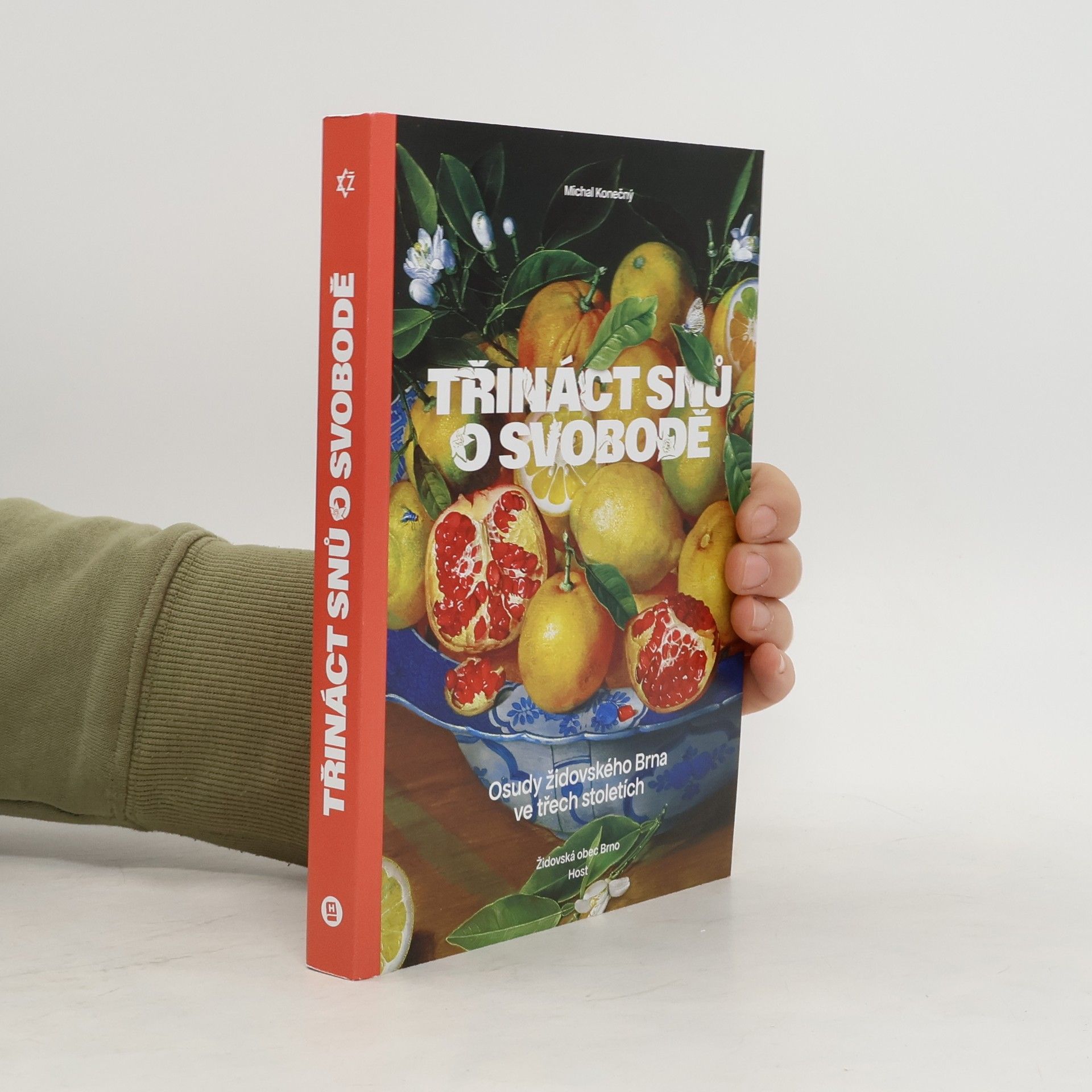 Michal Konečný Třináct snů o svobodě : osudy židovského Brna ve třech stoletích