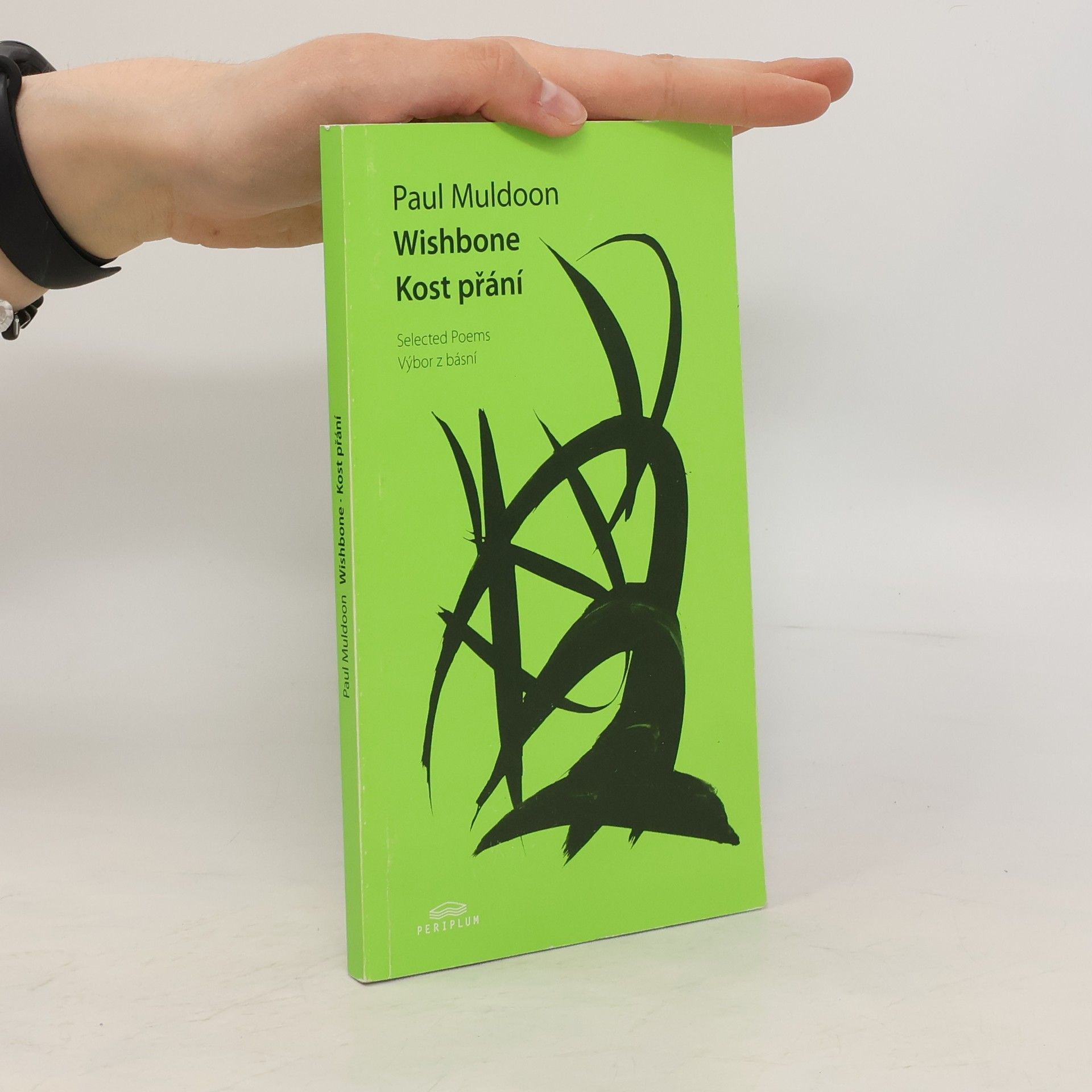 Paul Muldoon Kost přání