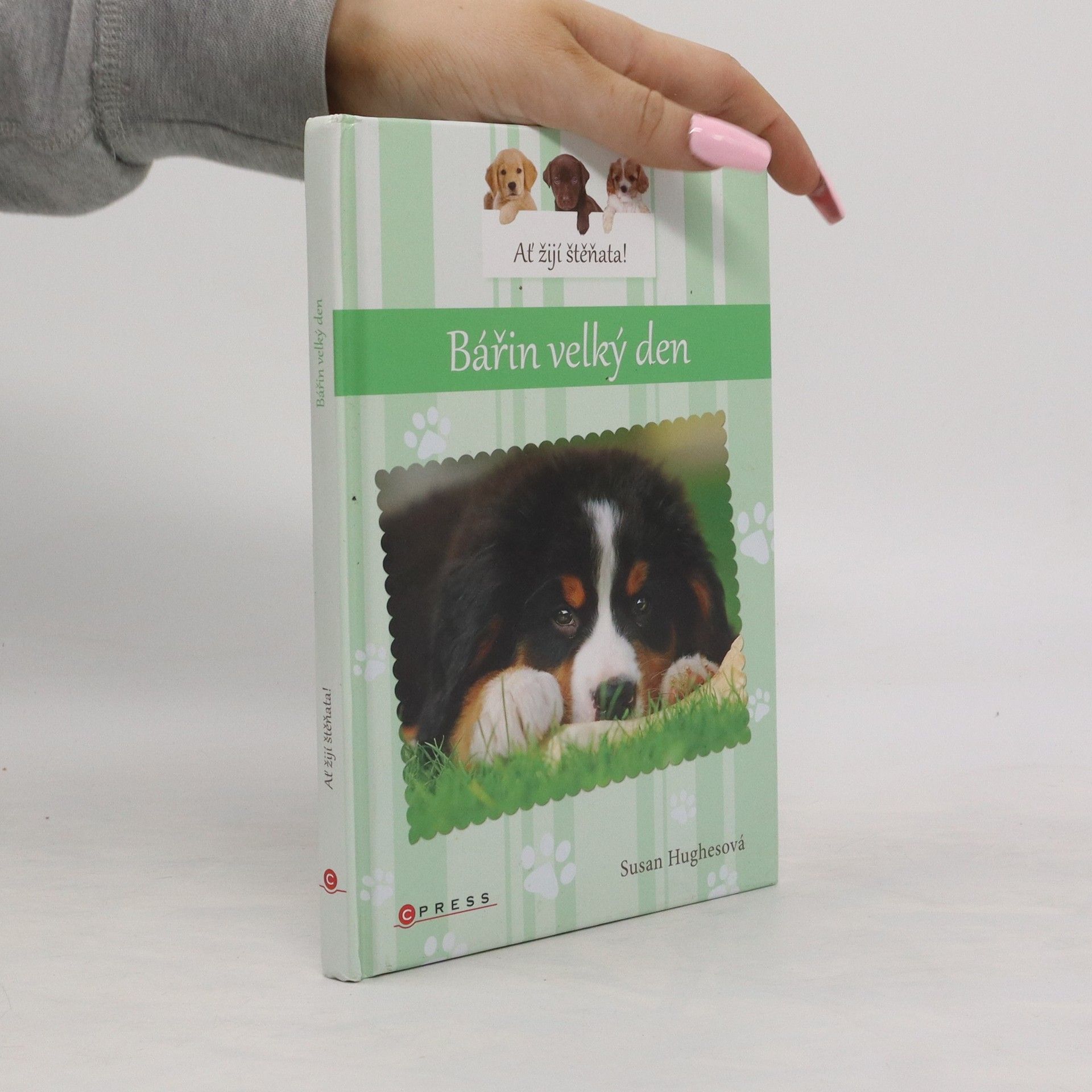 Susan Hughes Bářin velký den