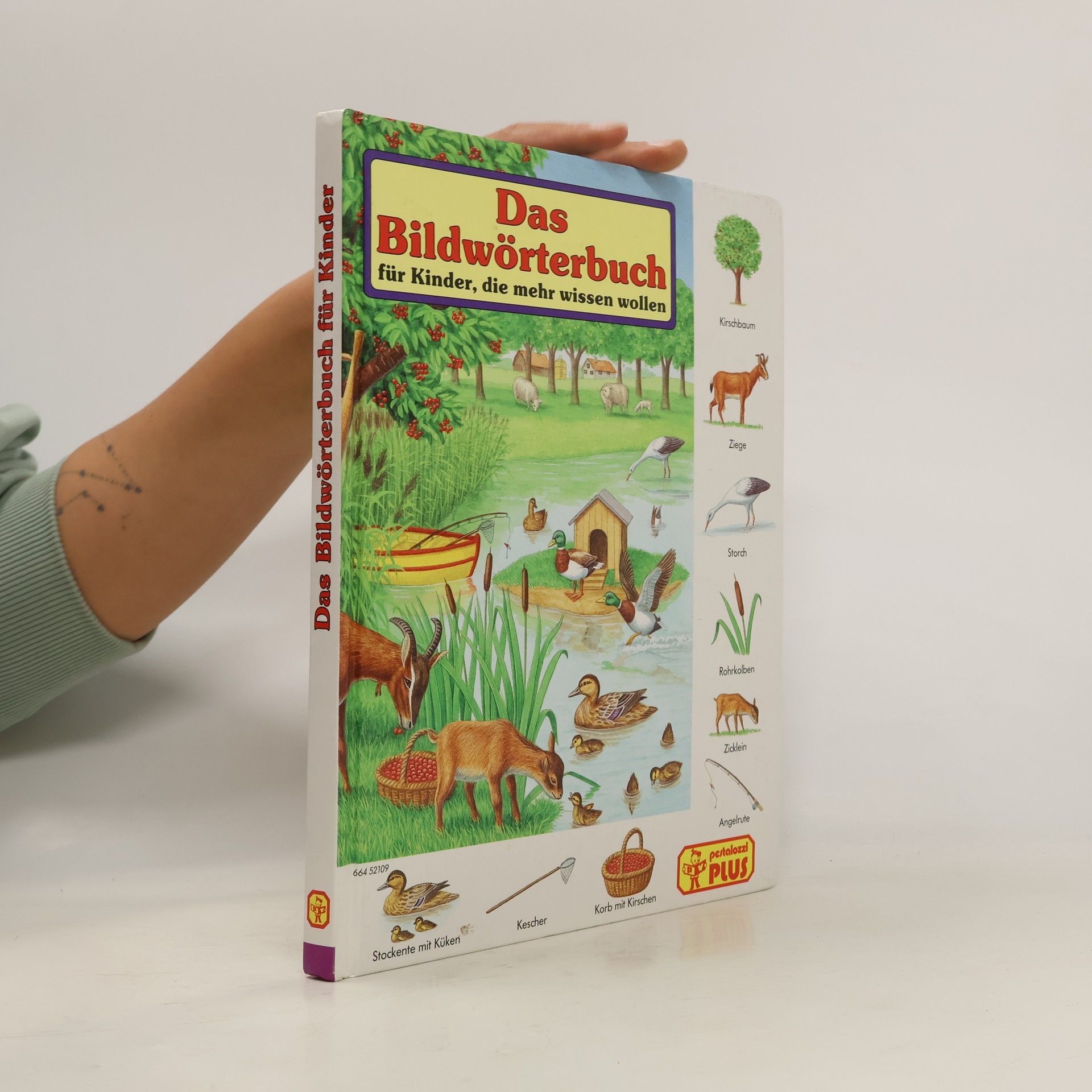 Bob Bampton Das Bildwörterbuch