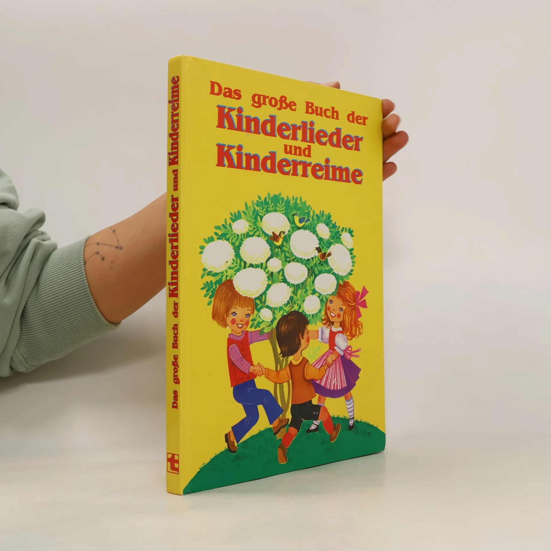 Das grosse Buch der Kinderlieder und Kinderreime | Buch | Hardcover | kolektiv