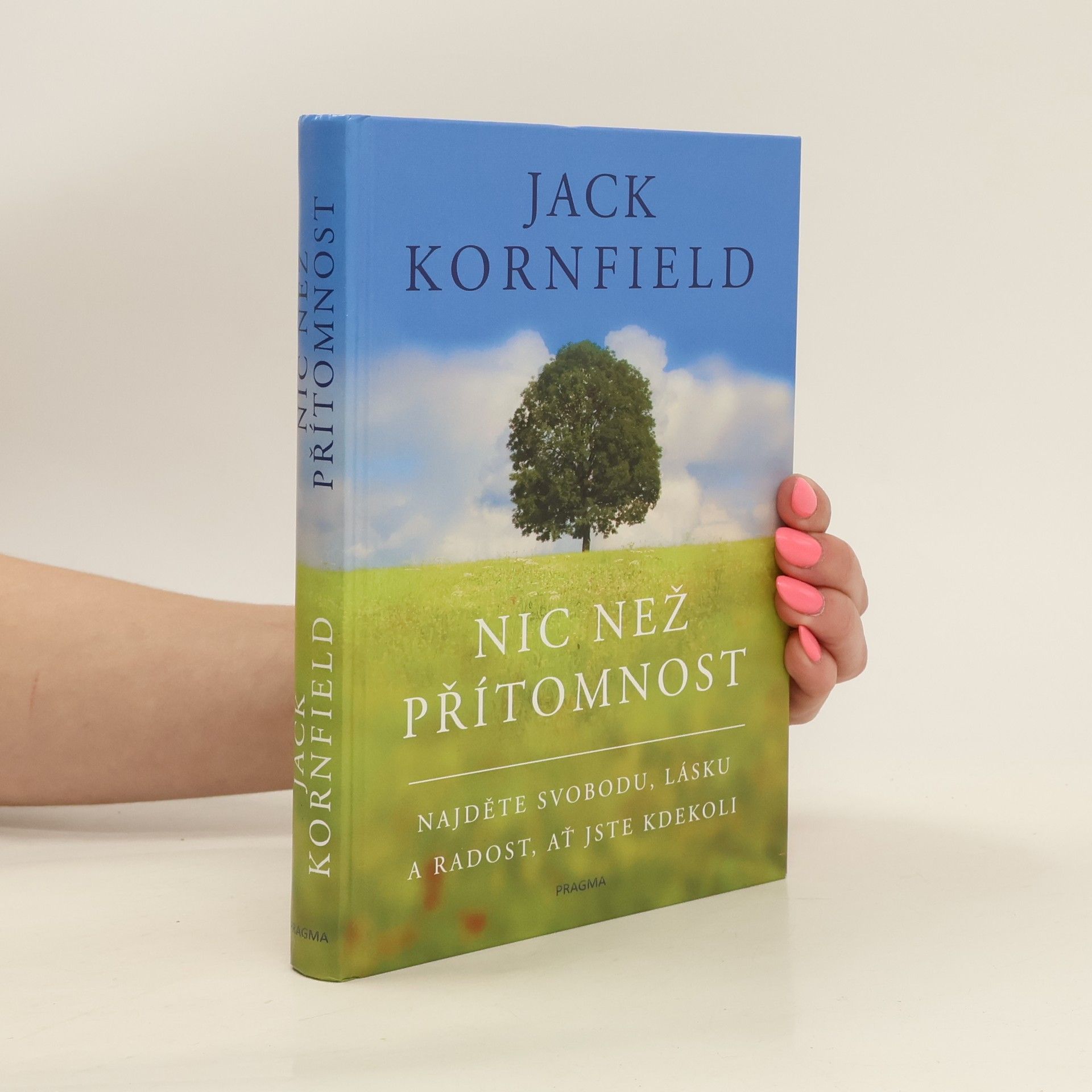 Jack Kornfield Nic než přítomnost