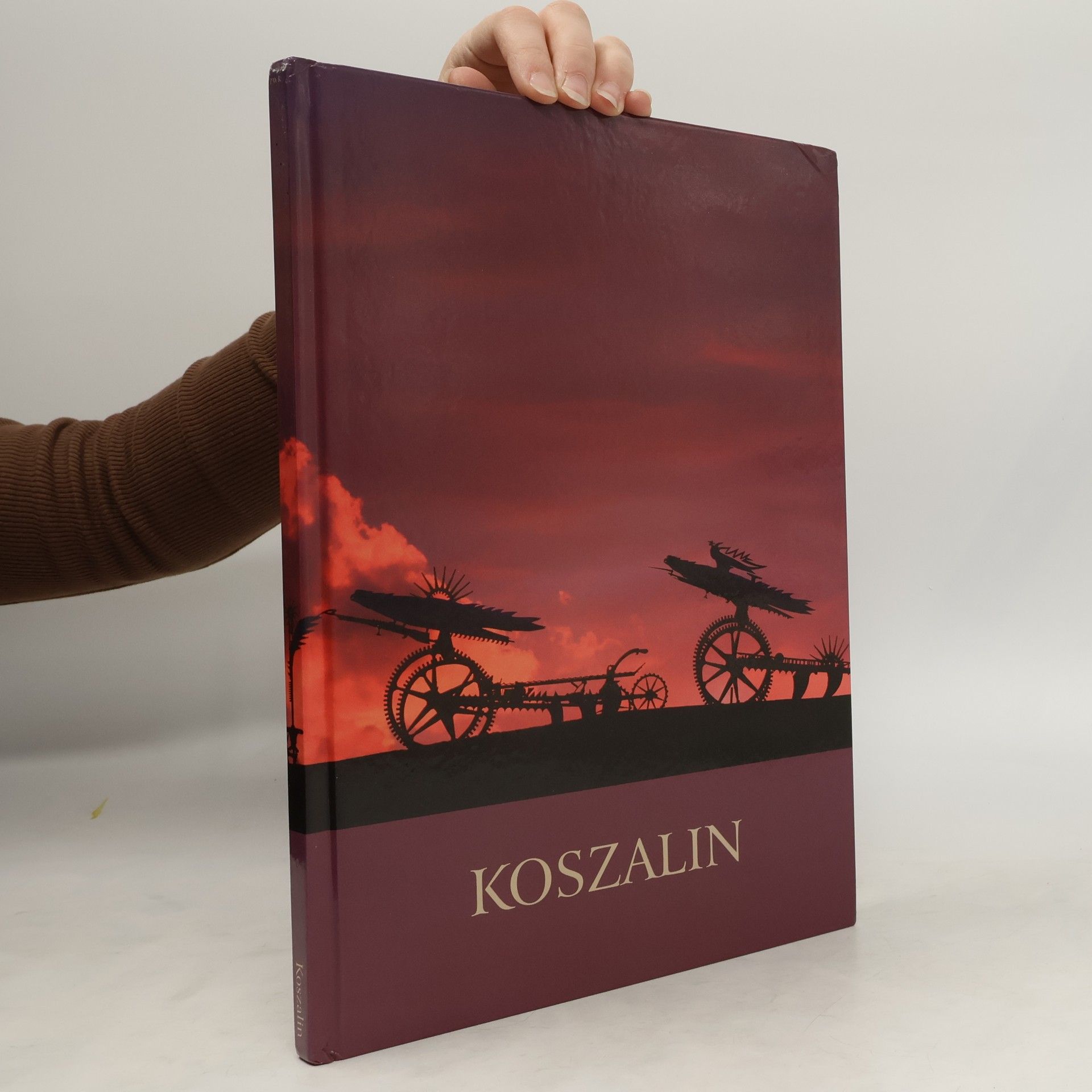 Marcin Karasiński Koszalin