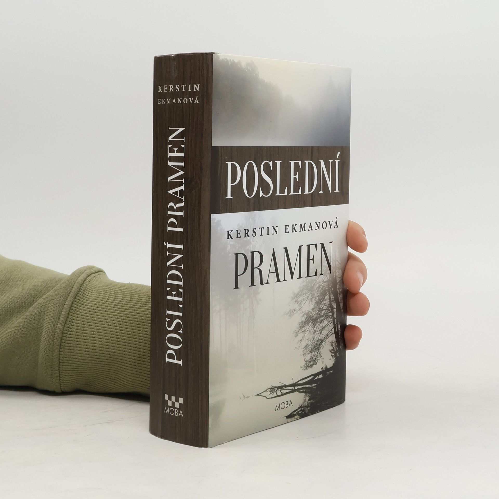 Kerstin Ekman Poslední pramen