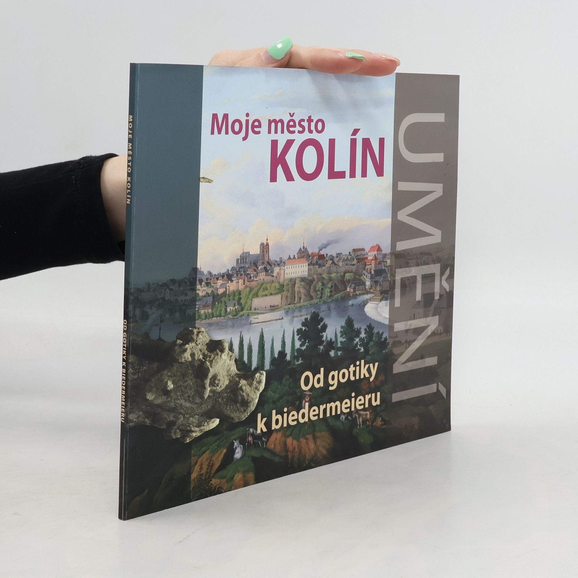 Vladimír Rišlink Moje město Kolín. Od gotiky k biedermeieru