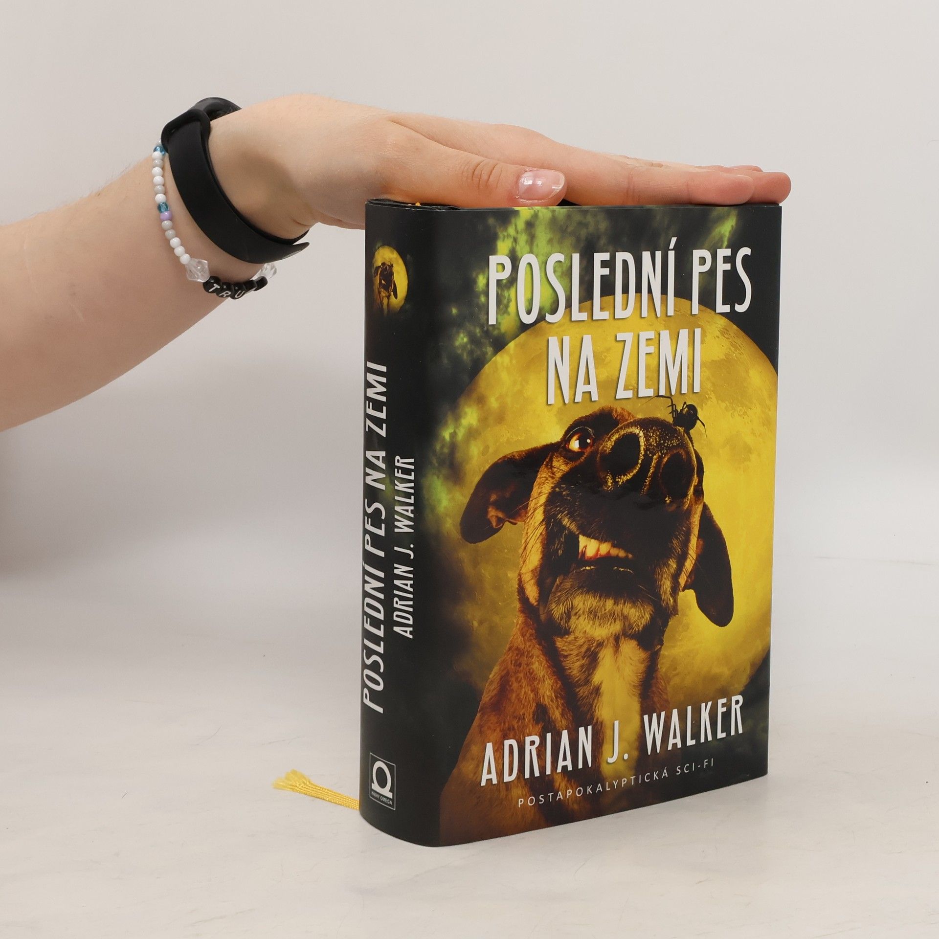 Adrian J. Walker Poslední pes na Zemi