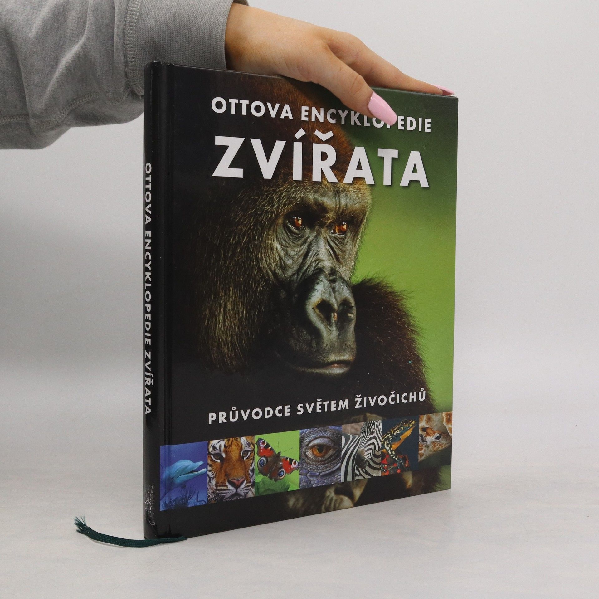 Romana Anděrová Zvířata : Ottova encyklopedie : průvodce světem živočichů