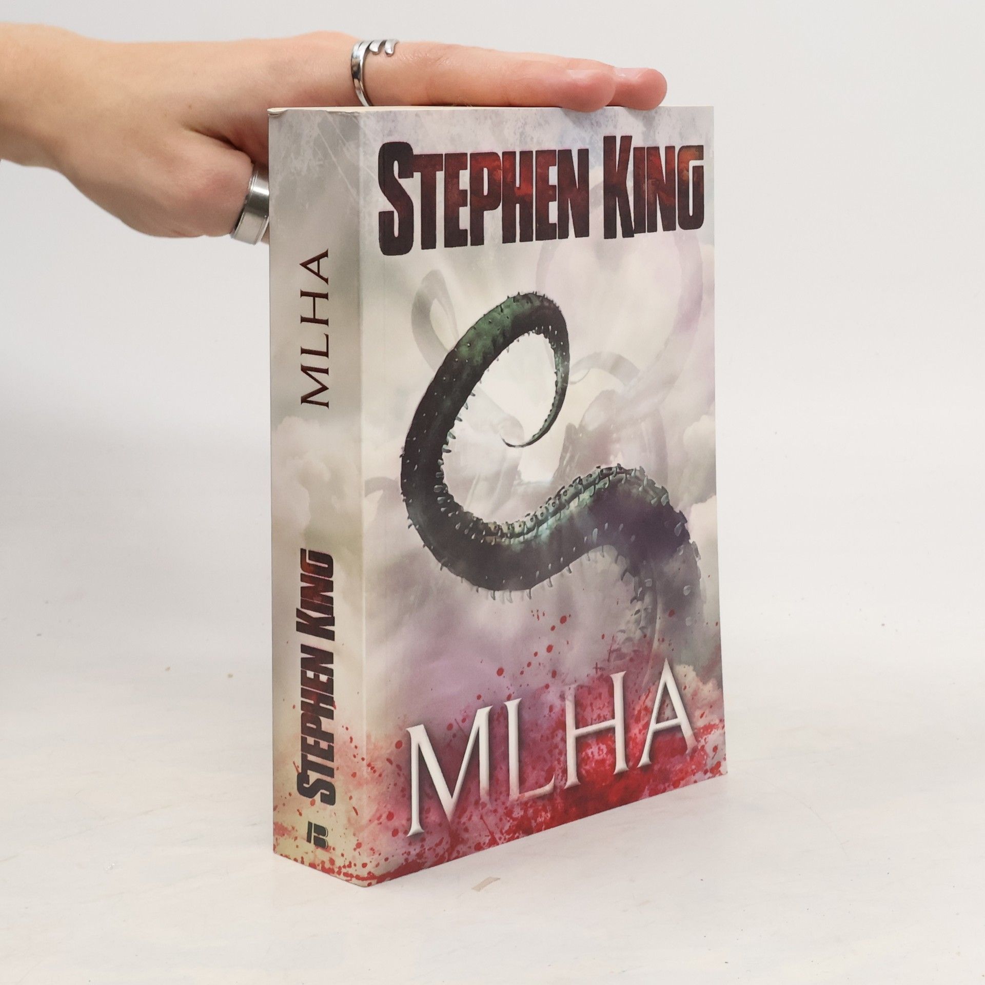 Stephen King Mlha