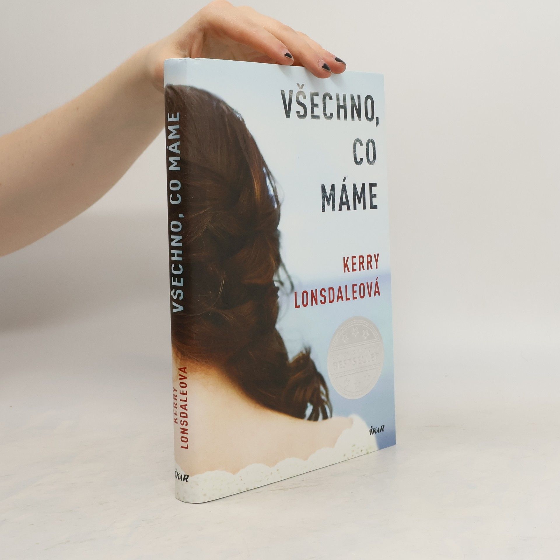 Kerry Lonsdale Všechno, co máme
