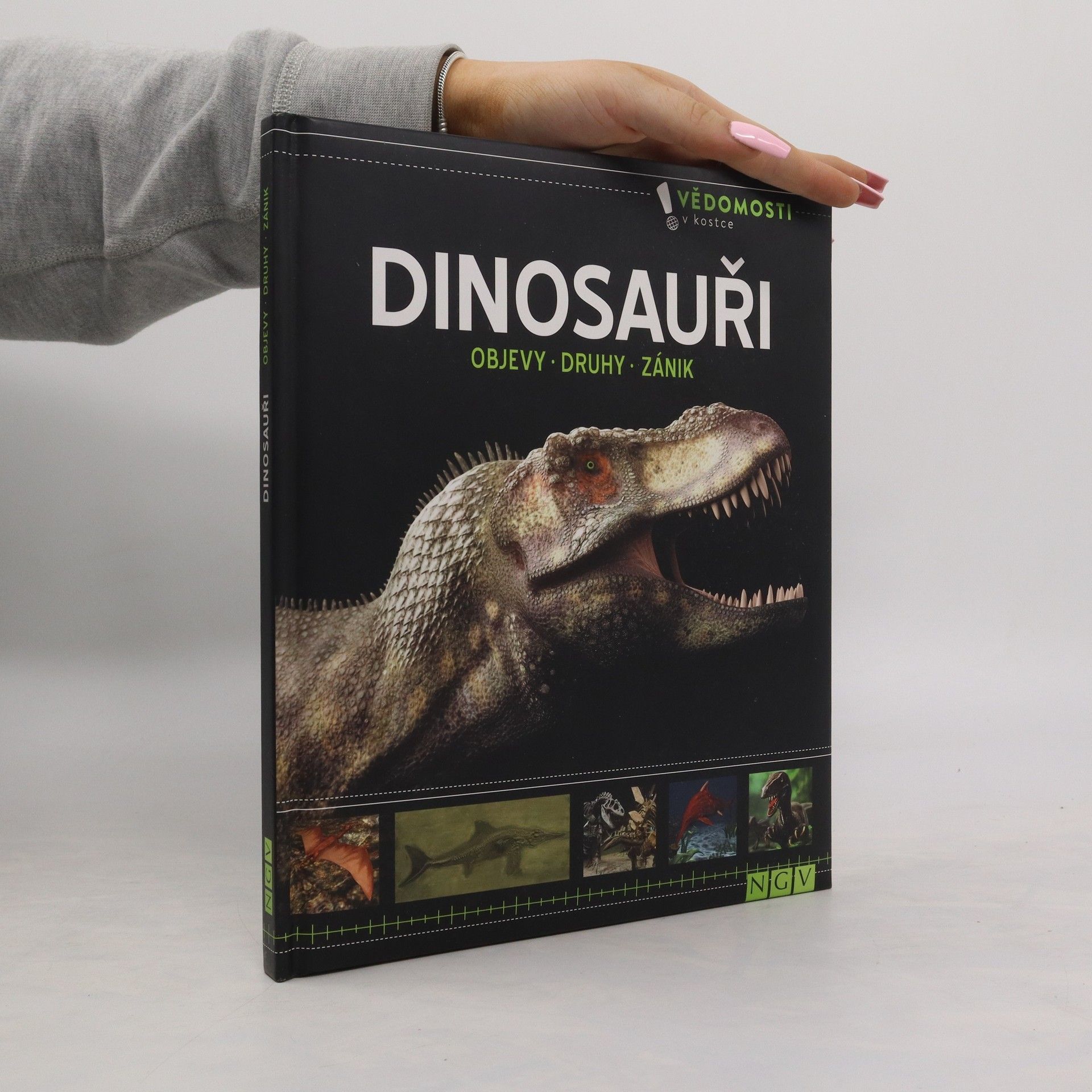 Collective Dinosauři