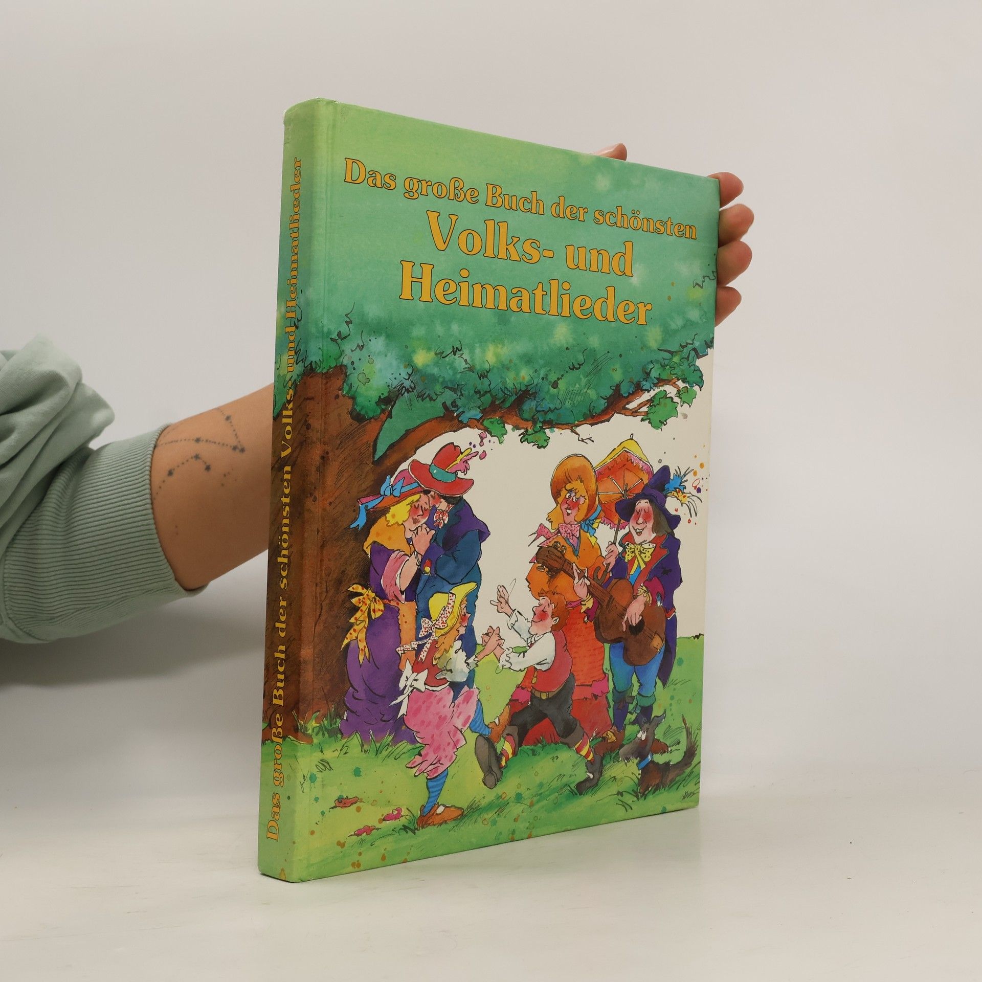 Brian Bagnall Dasgrosse Buch der schönsten Volks-und Heimatlieder