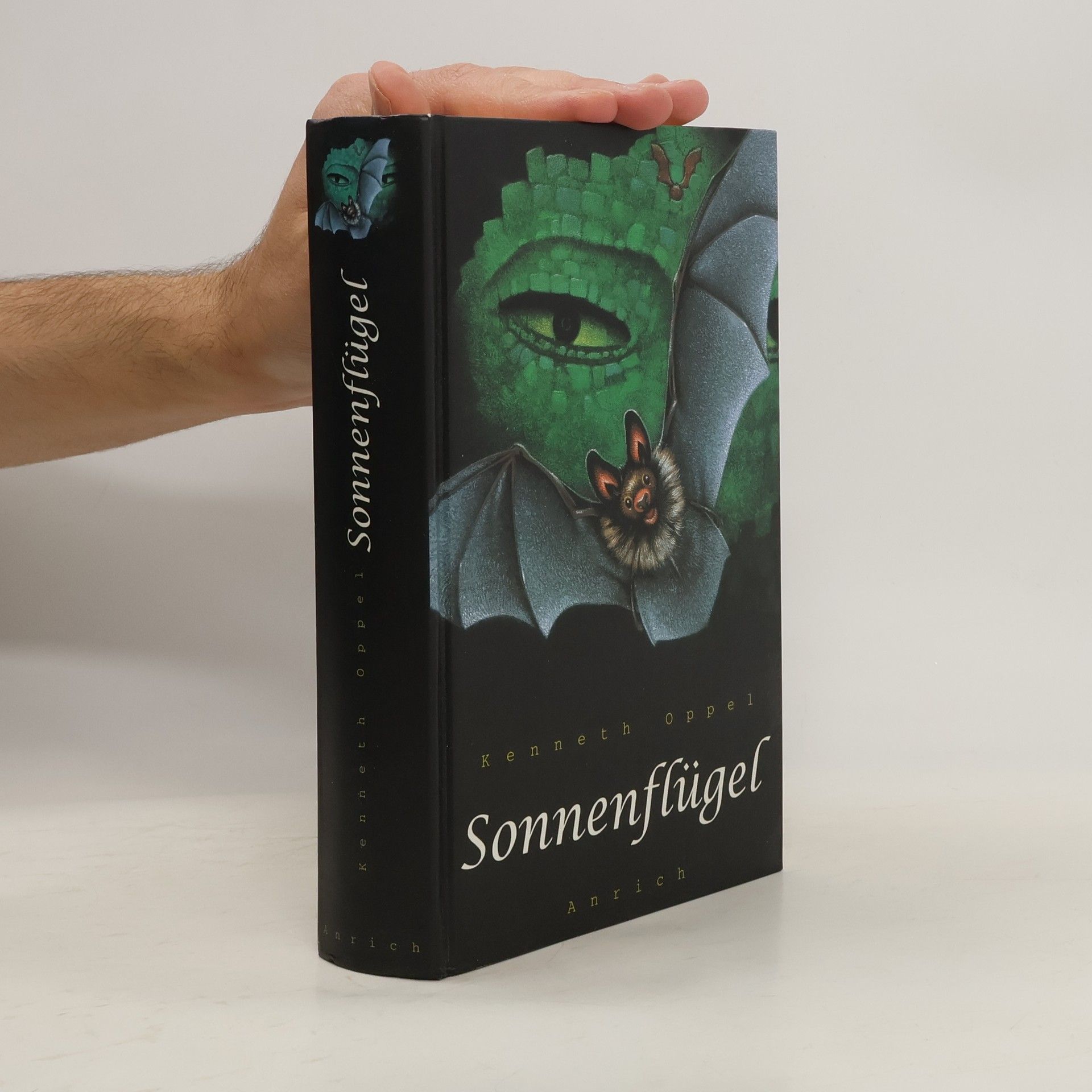 Kenneth Oppel Sonnenflügel