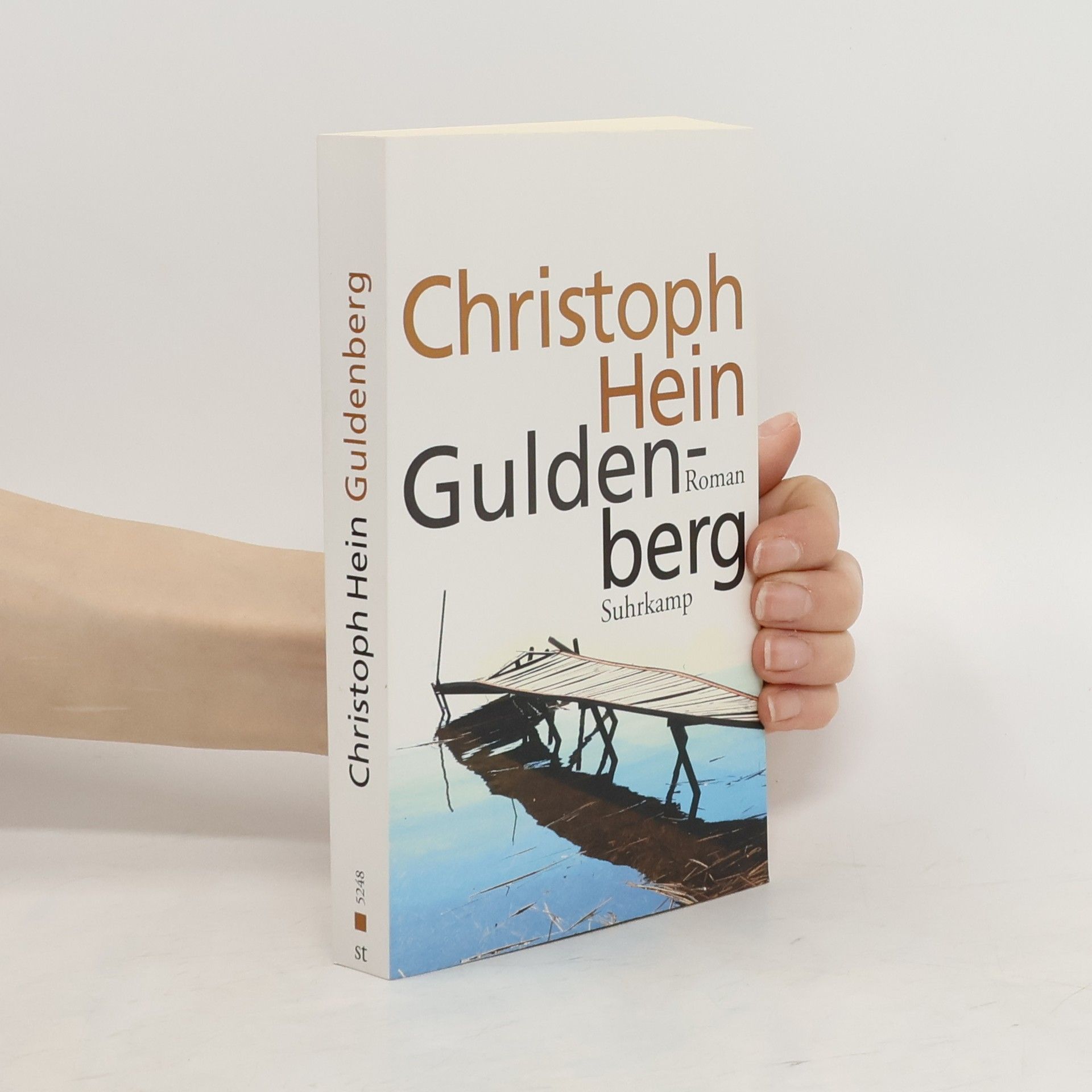 Christoph Hein Guldenberg: Roman